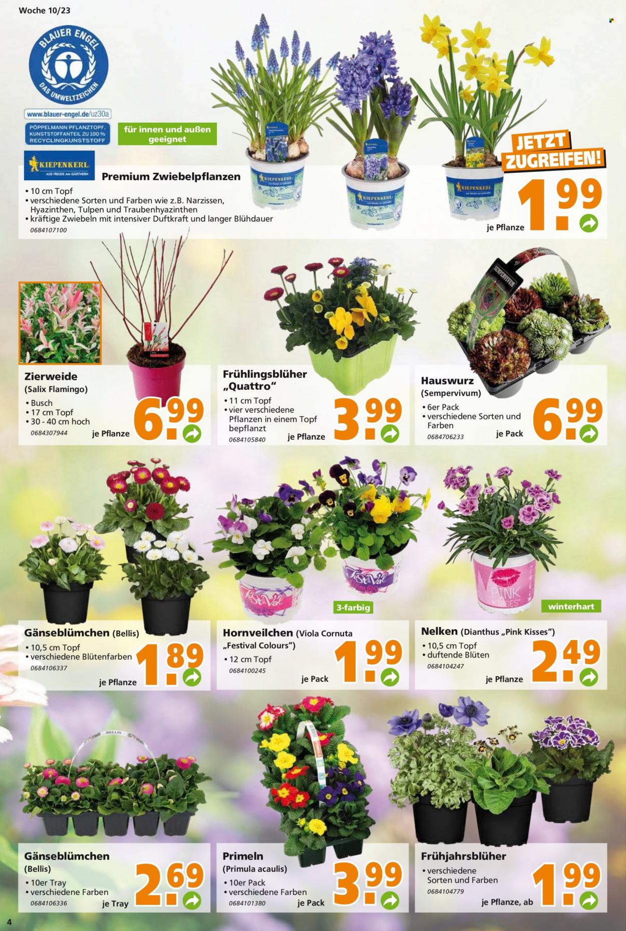 Globus Baumarkt Prospekte  - 6.03.2023 - 11.03.2023. Seite 4