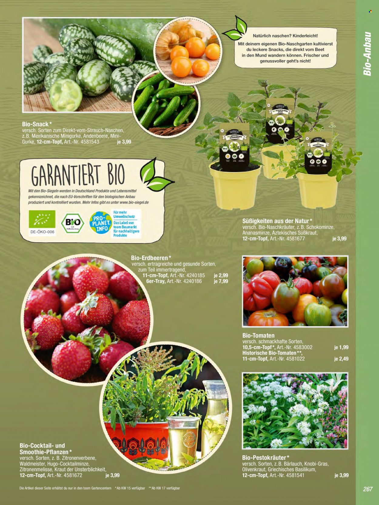 thumbnail - Prospekte toom Baumarkt - 1.03.2023 - 30.04.2023 - Produkte in Aktion - Tomaten, Kraut, Gurken, Erdbeeren, Basilikum. Seite 267.