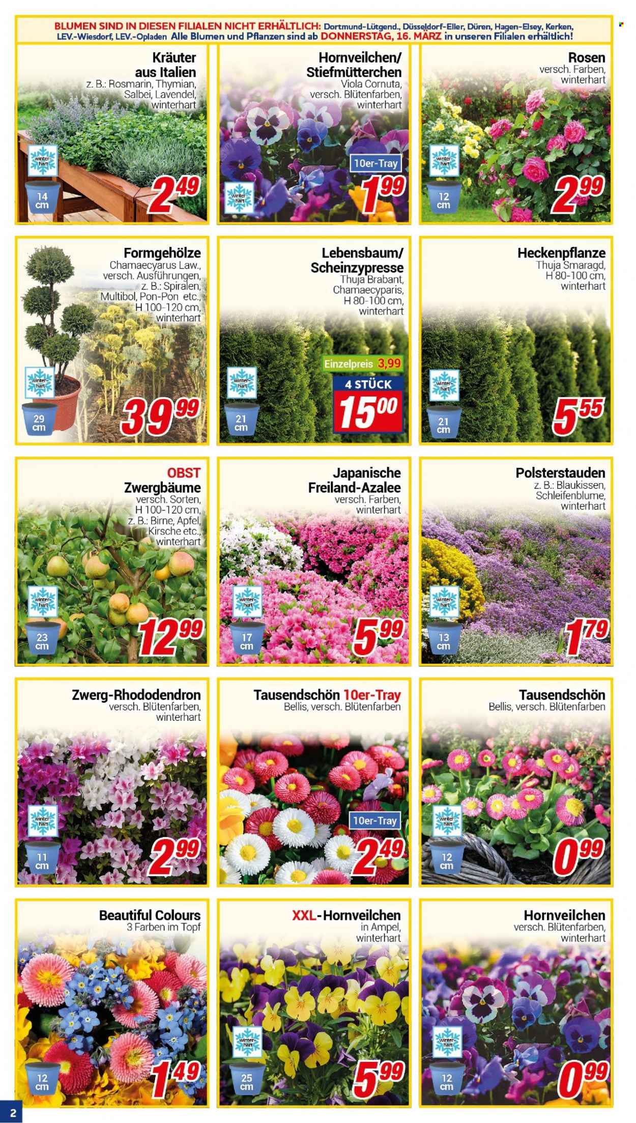 CENTERSHOP Prospekte  - 13.03.2023 - 18.03.2023. Seite 2