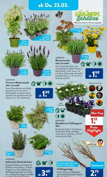 thumbnail - GARDENLINE Premium-Kletterstaude oder Lavendel