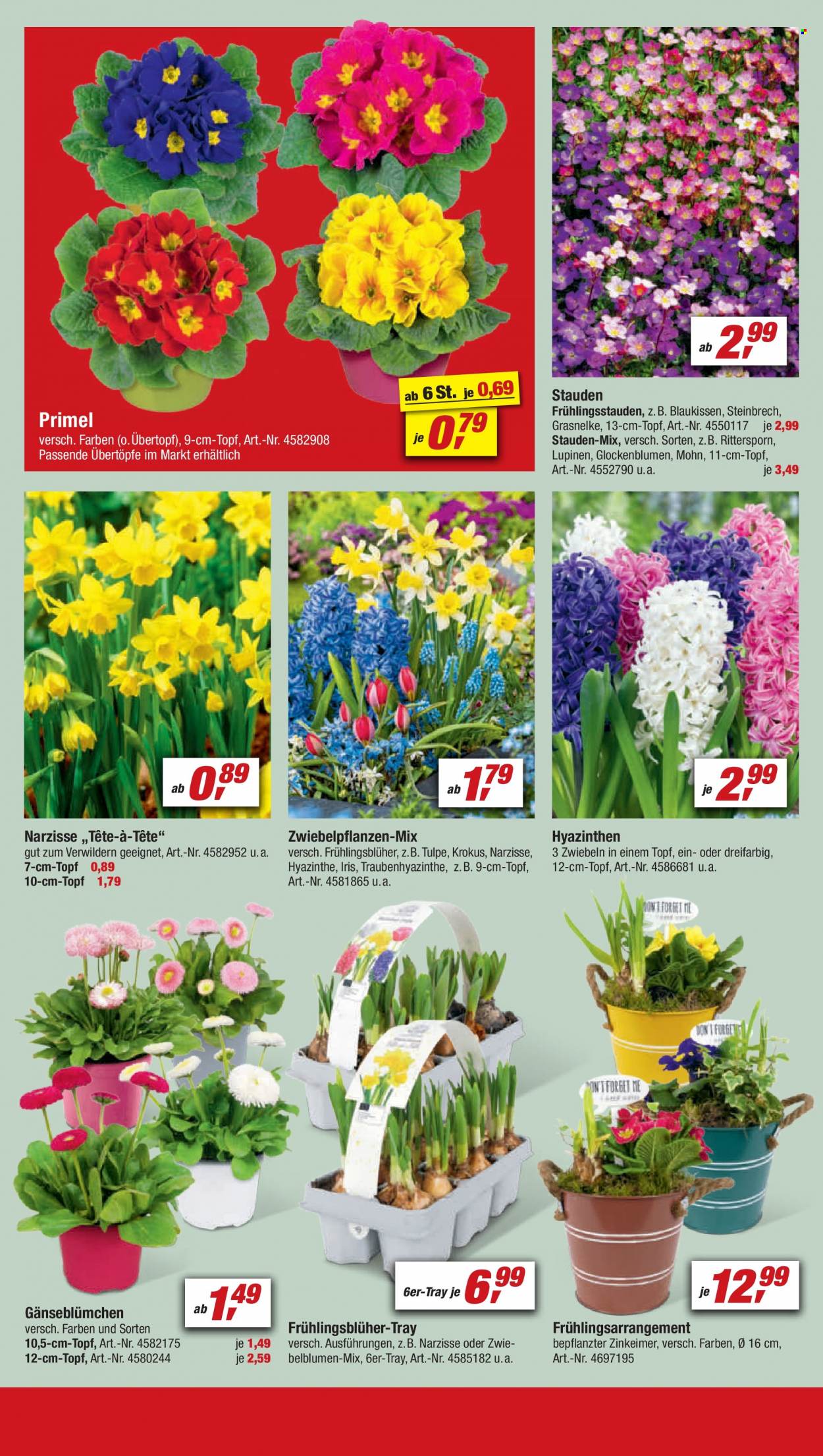 toom Baumarkt Prospekte  - 18.03.2023 - 24.03.2023. Seite 8
