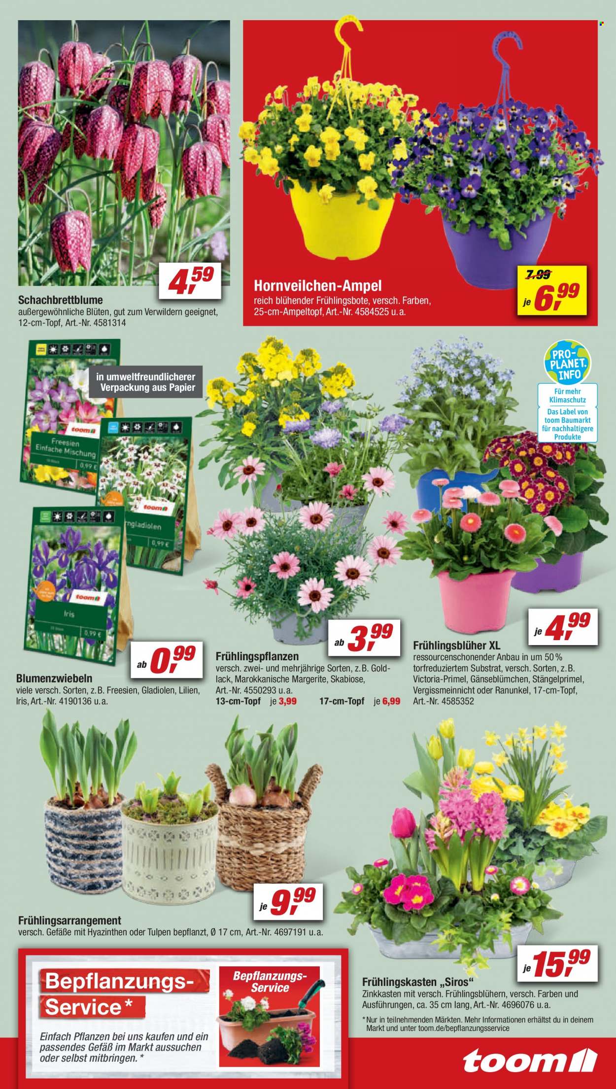 toom Baumarkt Prospekte  - 18.03.2023 - 24.03.2023. Seite 11