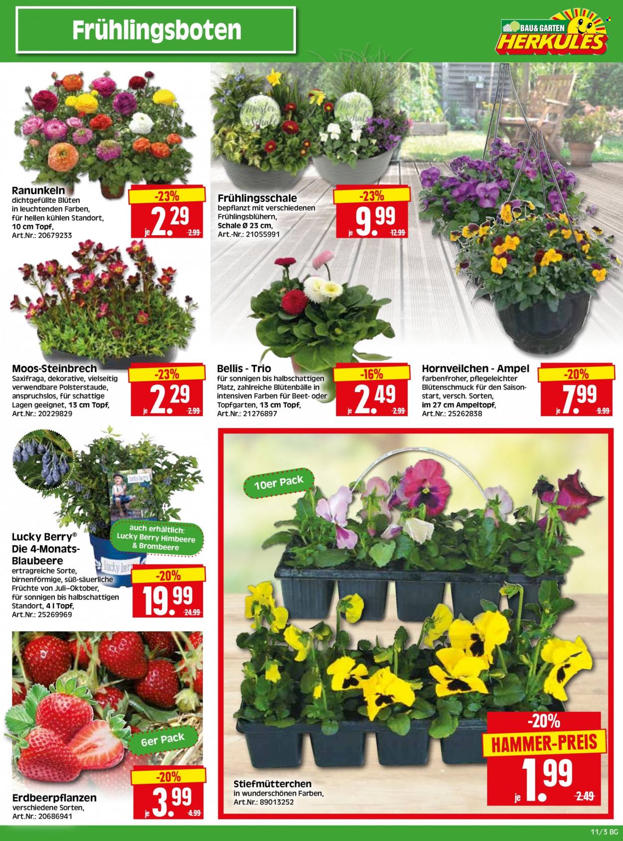Edeka Prospekte  - 13.03.2023 - 18.03.2023. Seite 25