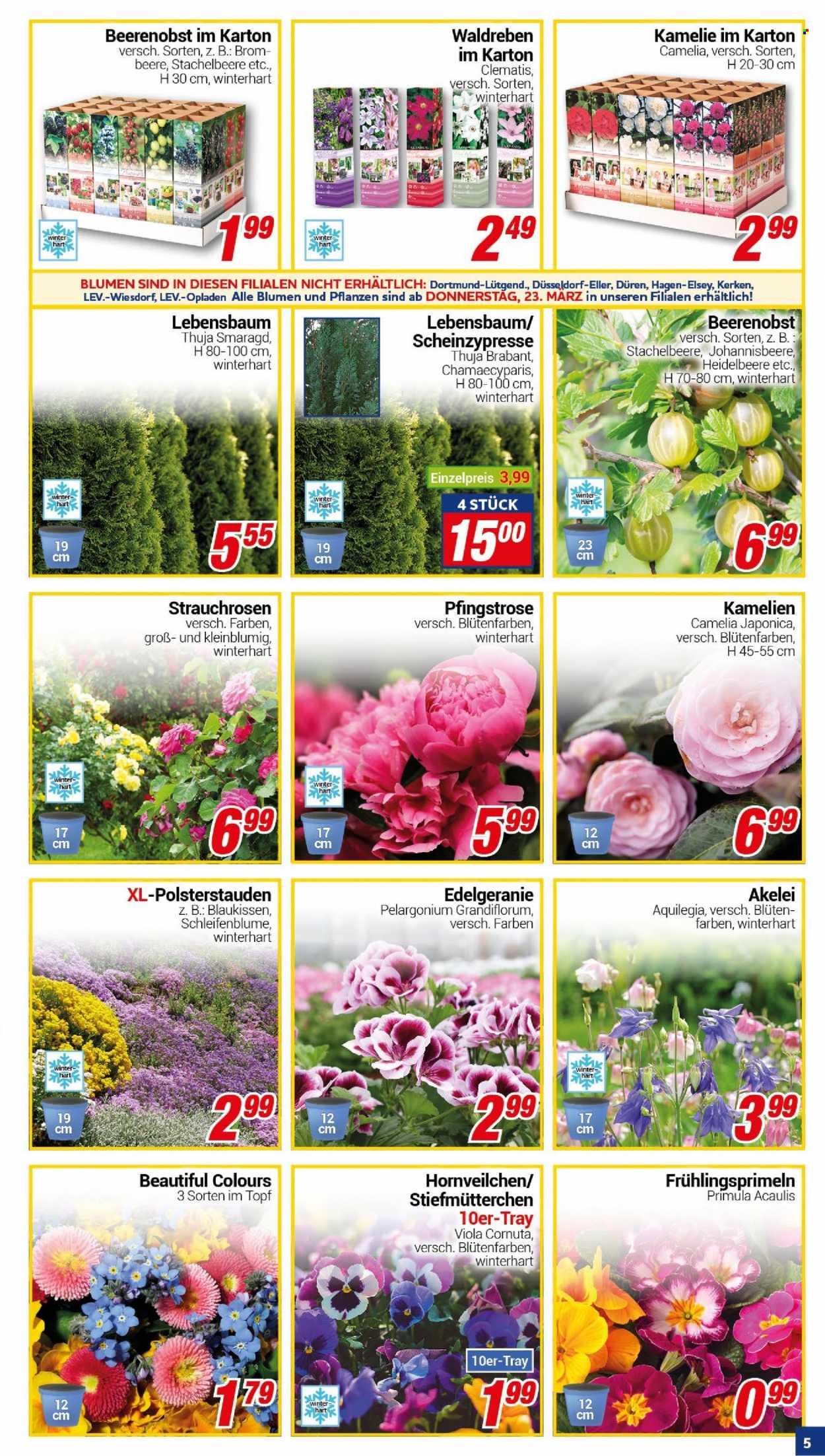 CENTERSHOP Prospekte  - 20.03.2023 - 25.03.2023. Seite 5