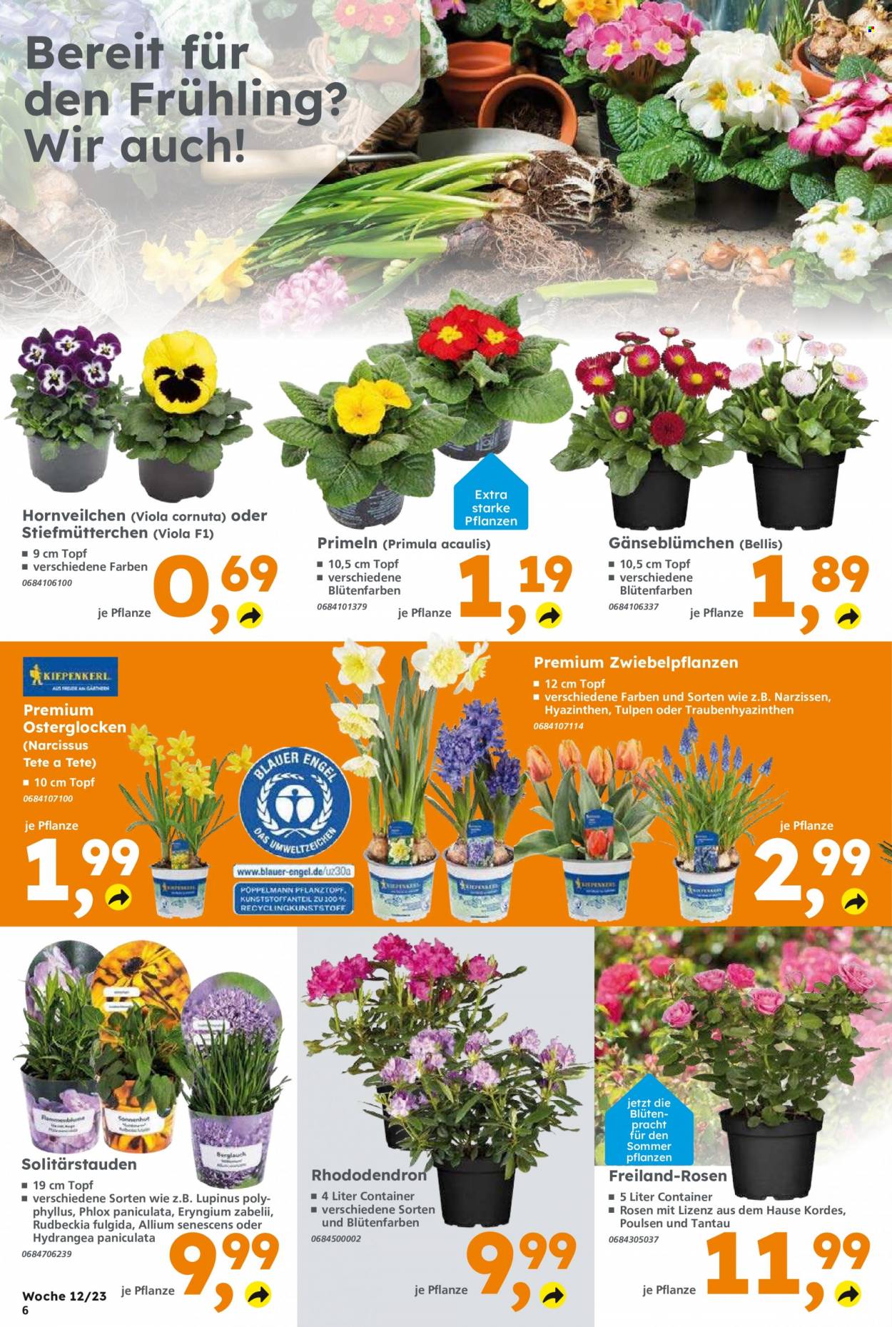 Globus Baumarkt Prospekte  - 20.03.2023 - 25.03.2023. Seite 6
