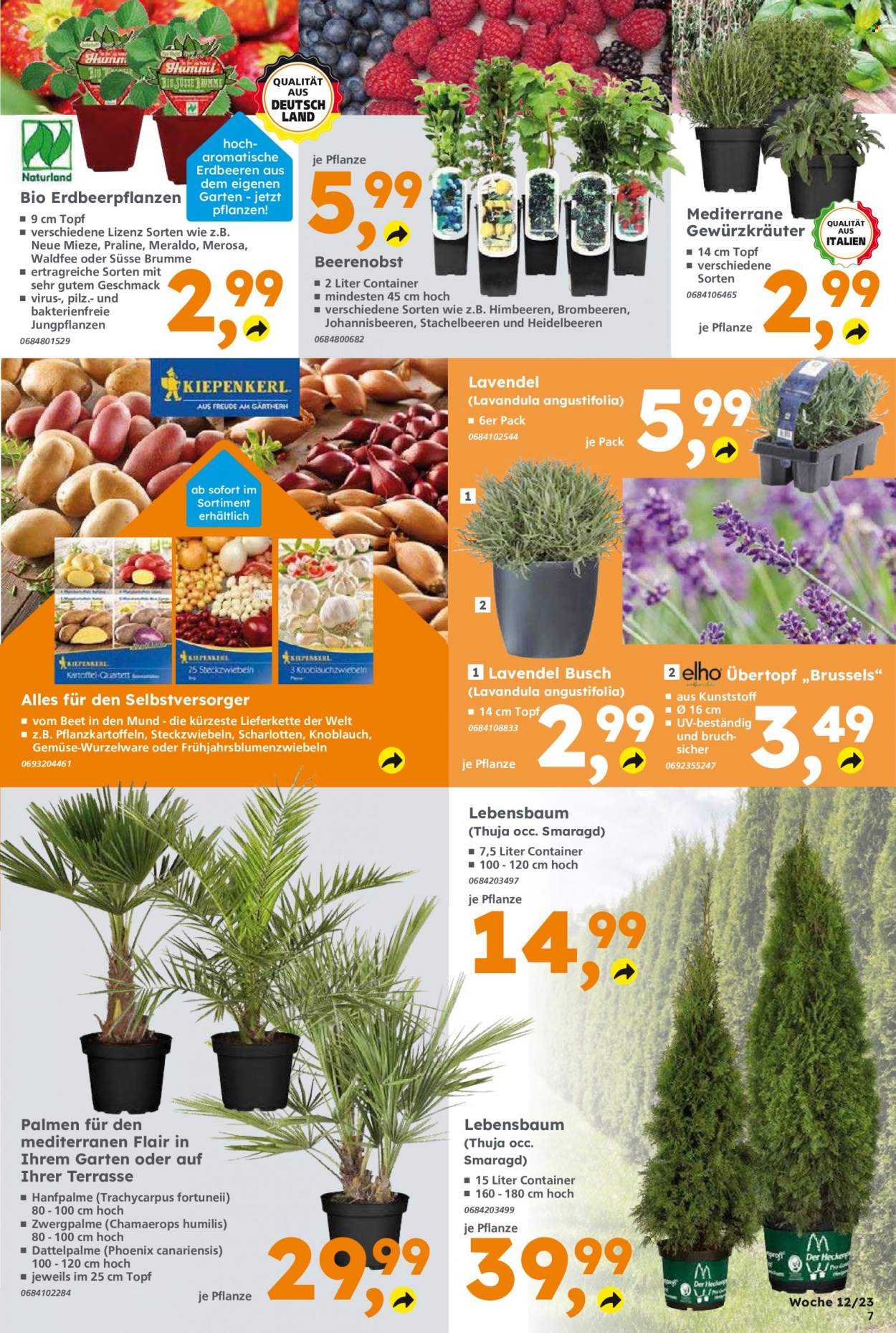 Globus Baumarkt Prospekte  - 20.03.2023 - 25.03.2023. Seite 7
