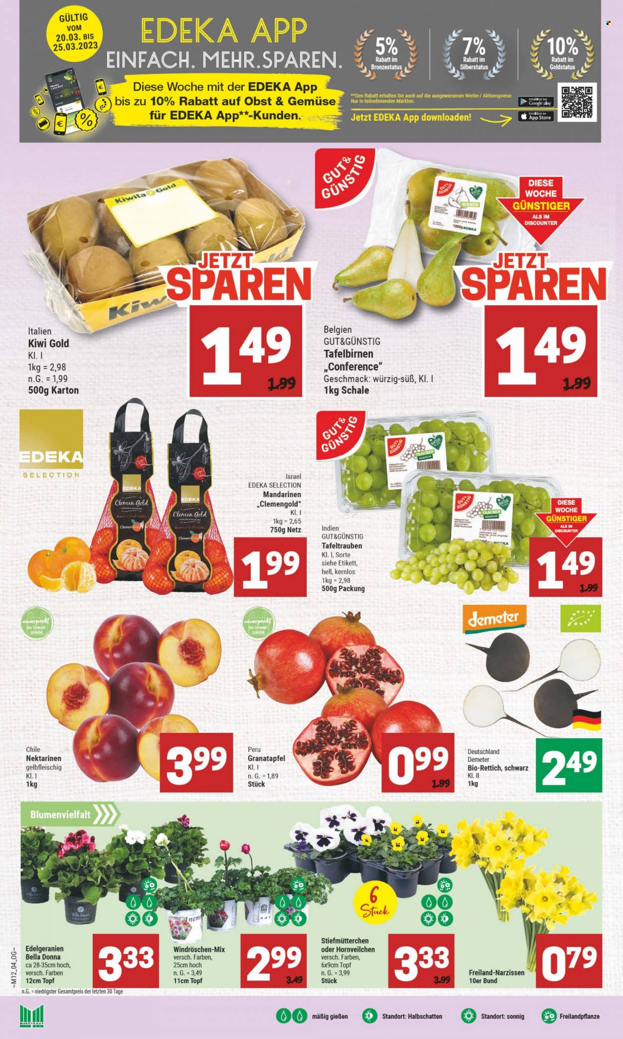 Marktkauf Prospekte  - 20.03.2023 - 25.03.2023. Seite 4