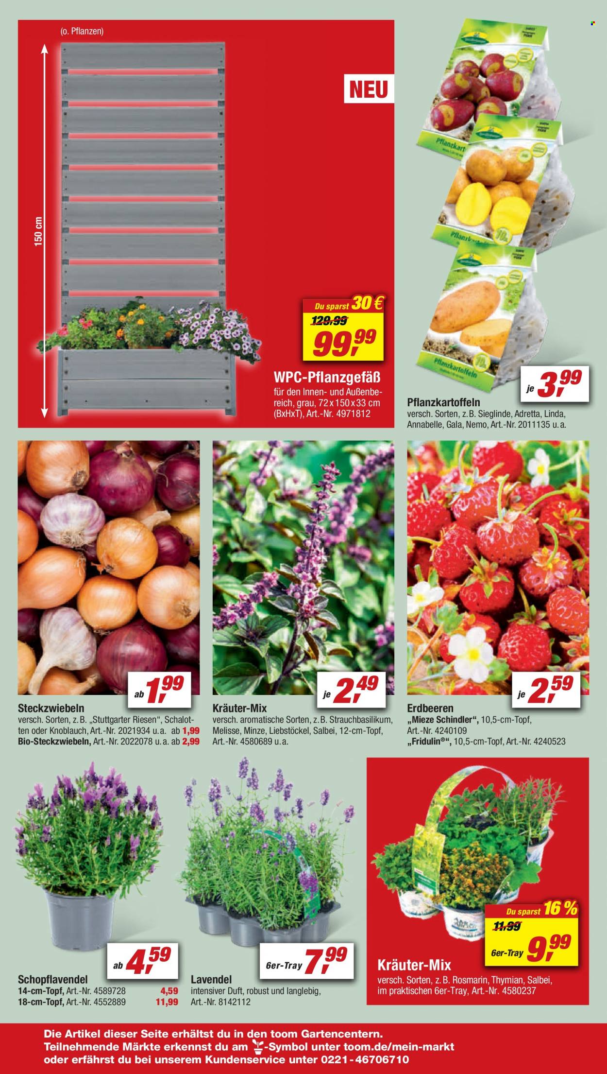 toom Baumarkt Prospekte  - 25.03.2023 - 31.03.2023. Seite 10