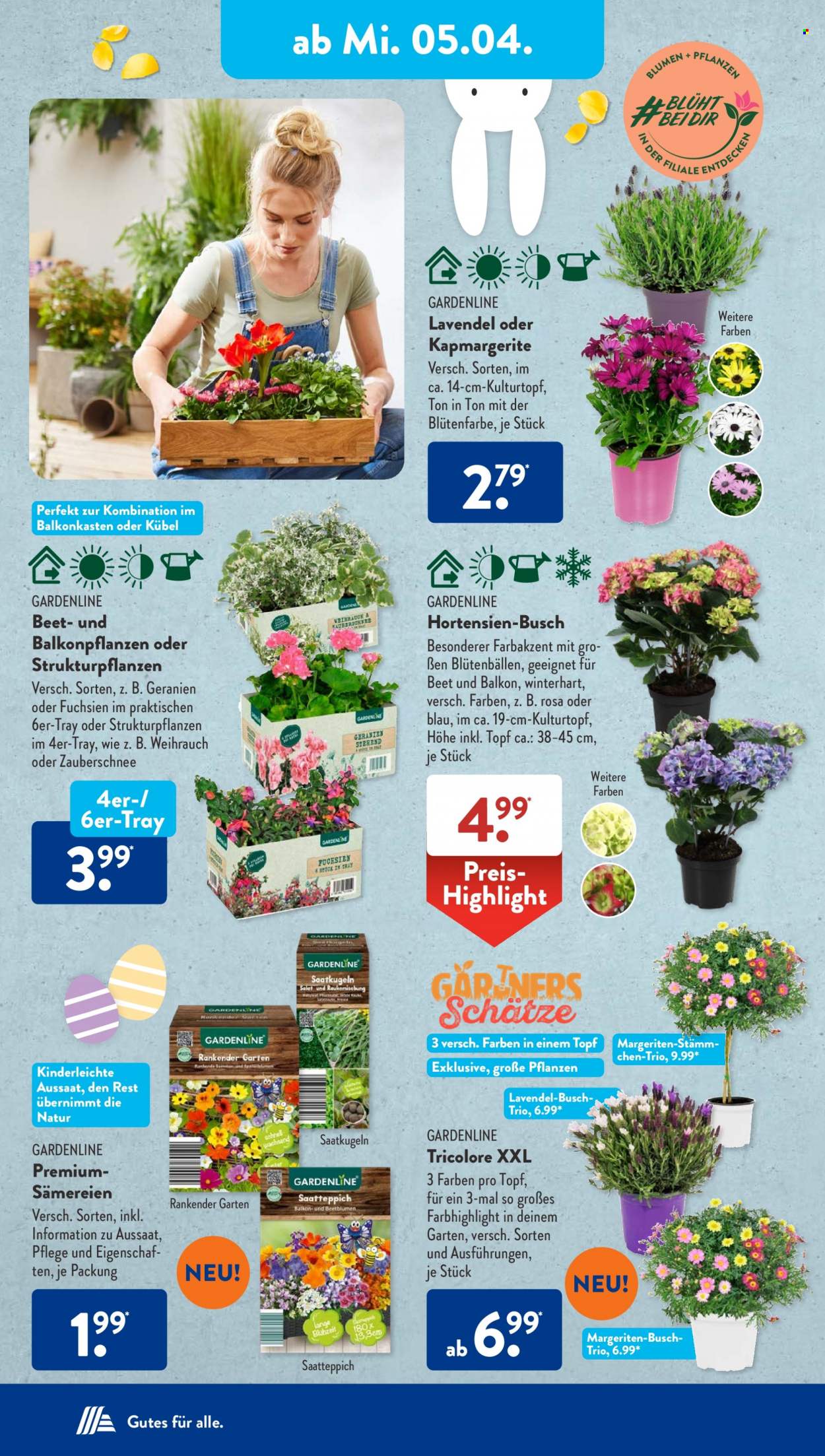 ALDI SÜD Prospekte  - 3.04.2023 - 8.04.2023. Seite 35