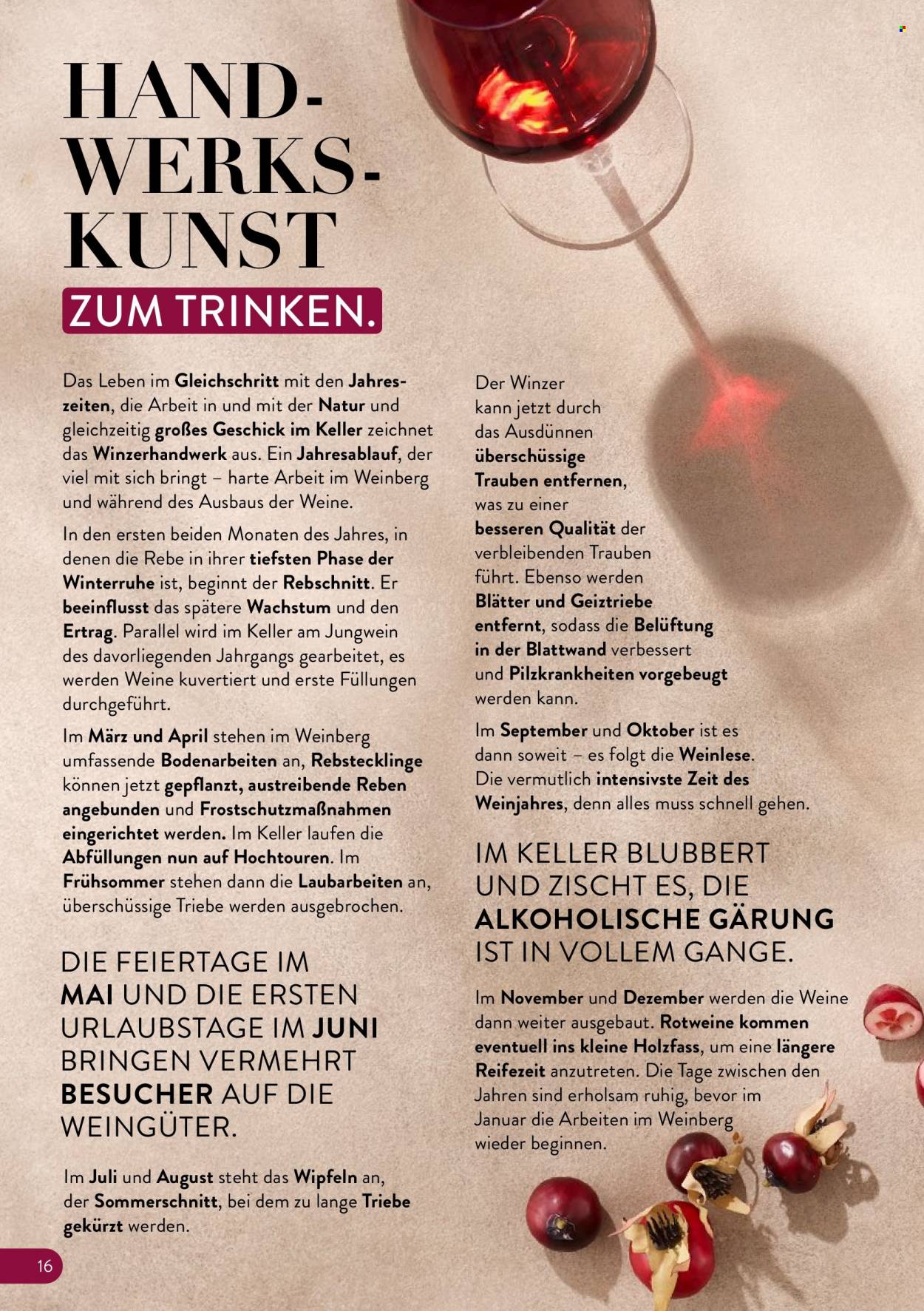 ALDI Nord Prospekte . Seite 16