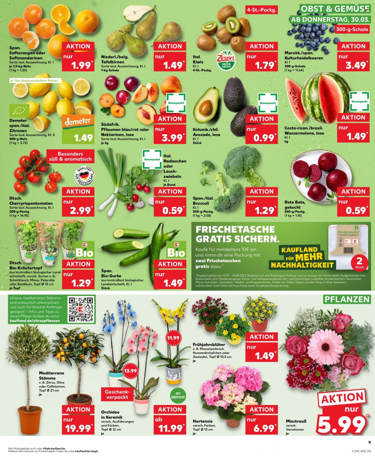 Kaufland Prospekte  - 30.03.2023 - 5.04.2023. Seite 9