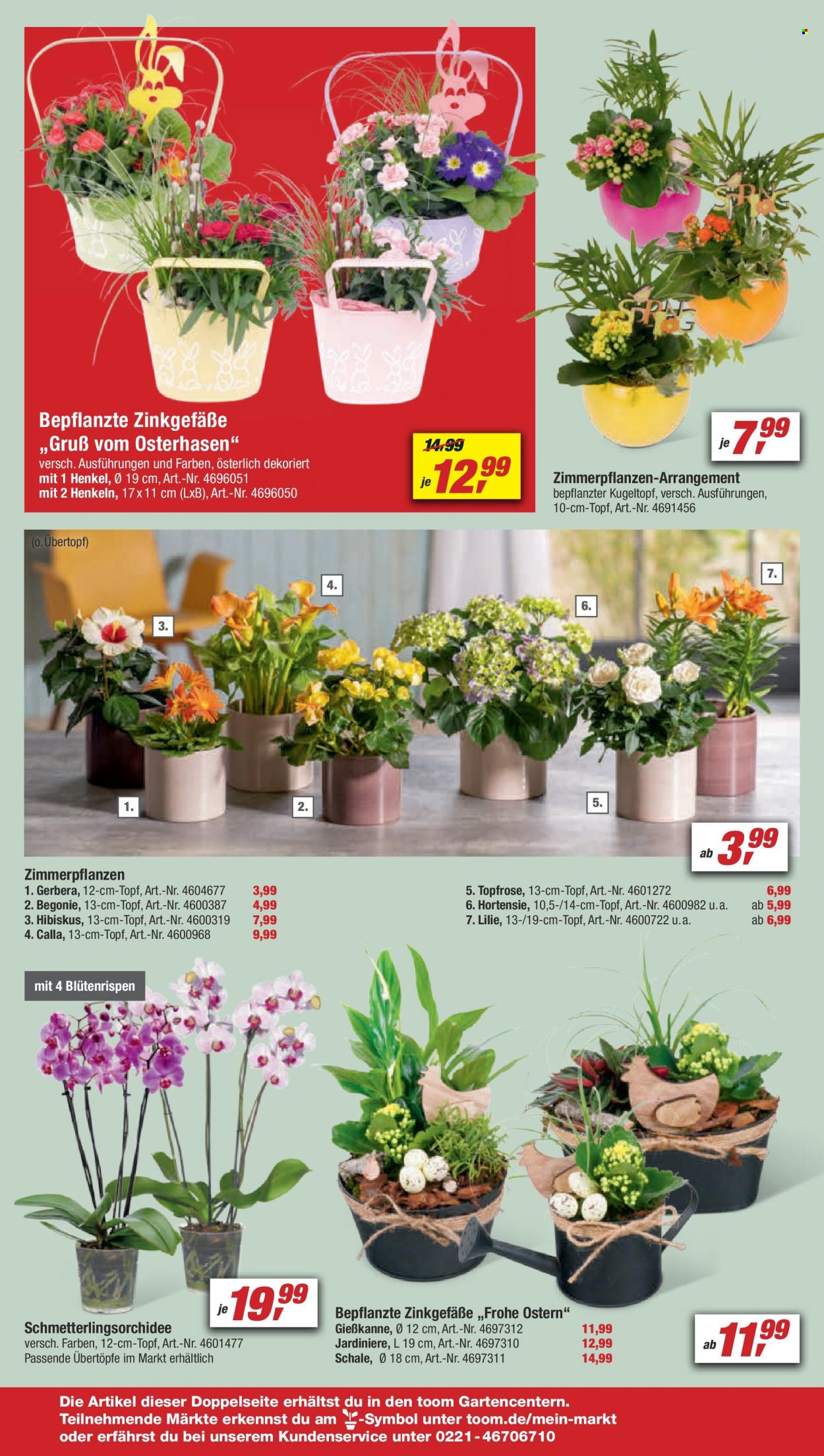 toom Baumarkt Prospekte  - 1.04.2023 - 7.04.2023. Seite 4