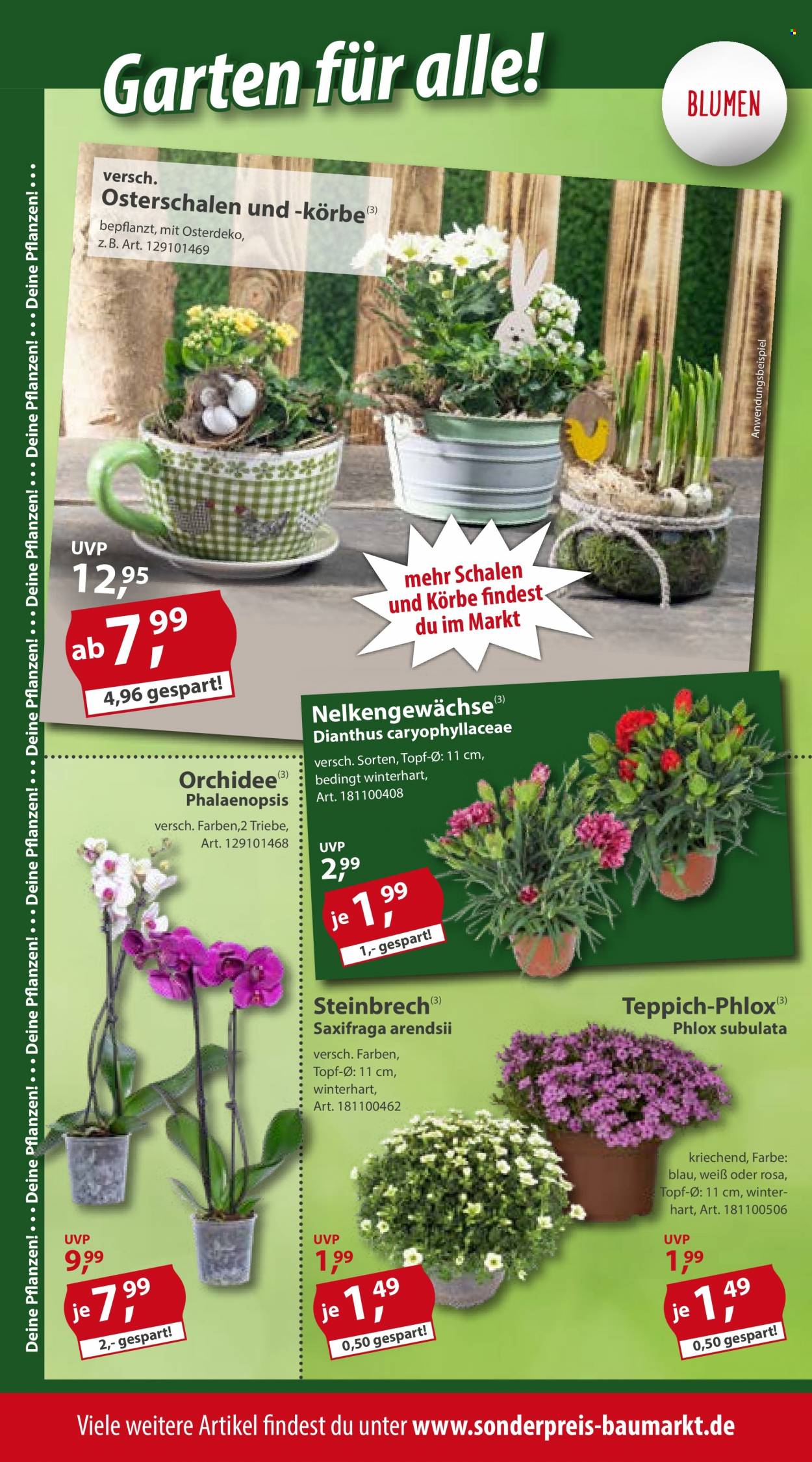 Sonderpreis-Baumarkt Prospekte  - 8.04.2023 - 14.04.2023. Seite 6