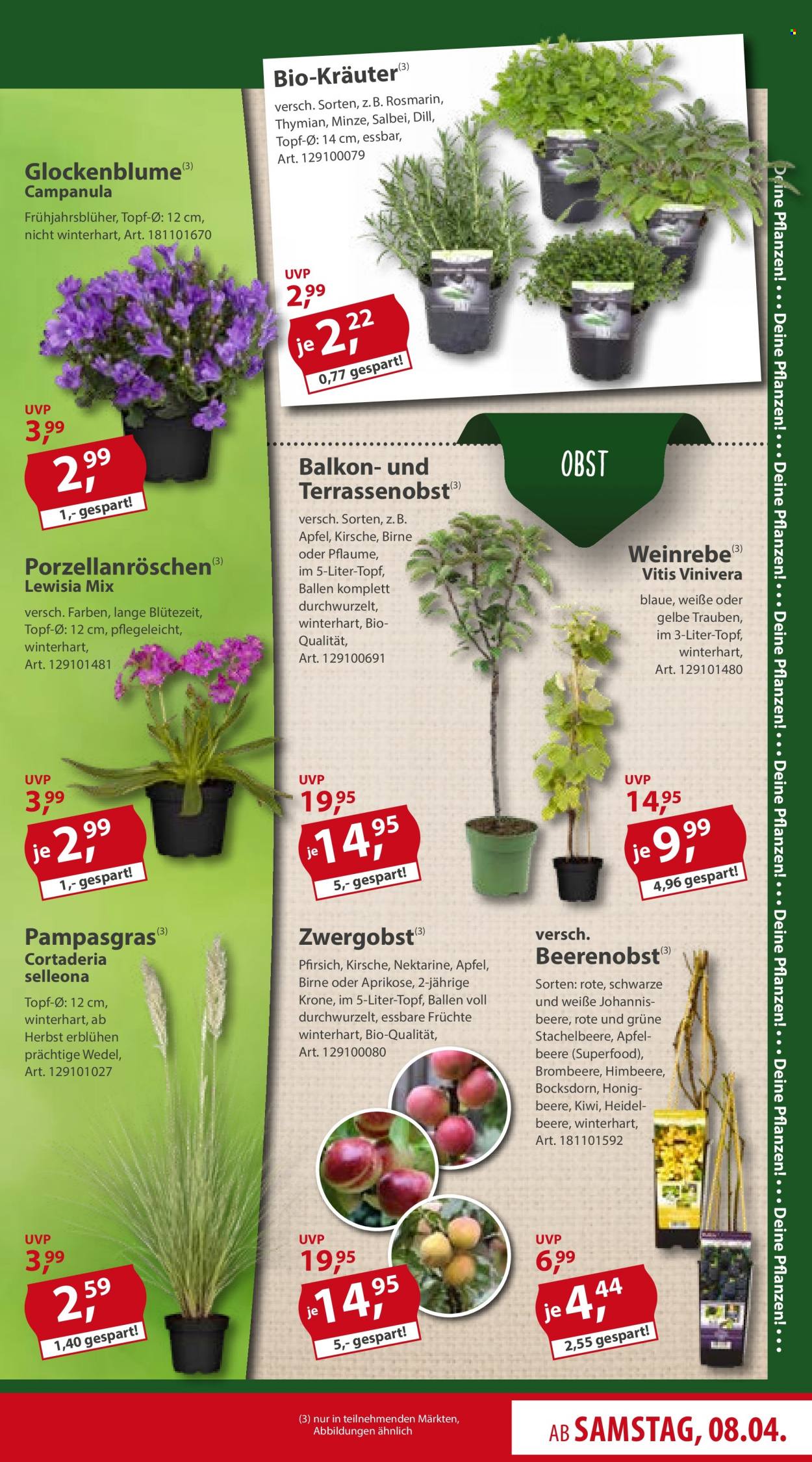 Sonderpreis-Baumarkt Prospekte  - 8.04.2023 - 14.04.2023. Seite 7