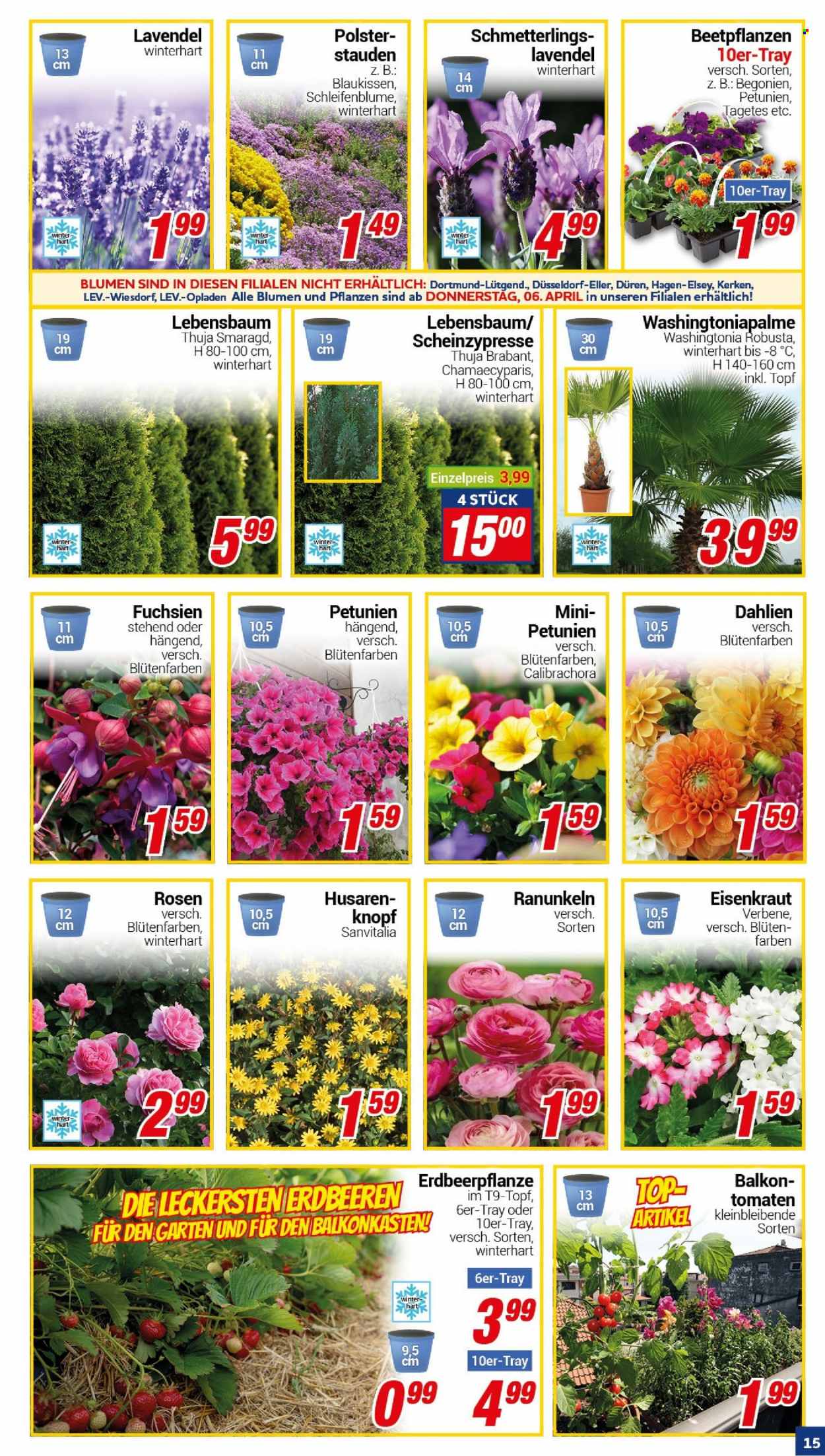 CENTERSHOP Prospekte  - 3.04.2023 - 8.04.2023. Seite 15