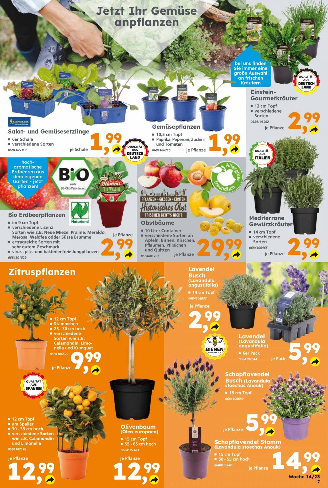 Globus Baumarkt Prospekte  - 3.04.2023 - 8.04.2023. Seite 7