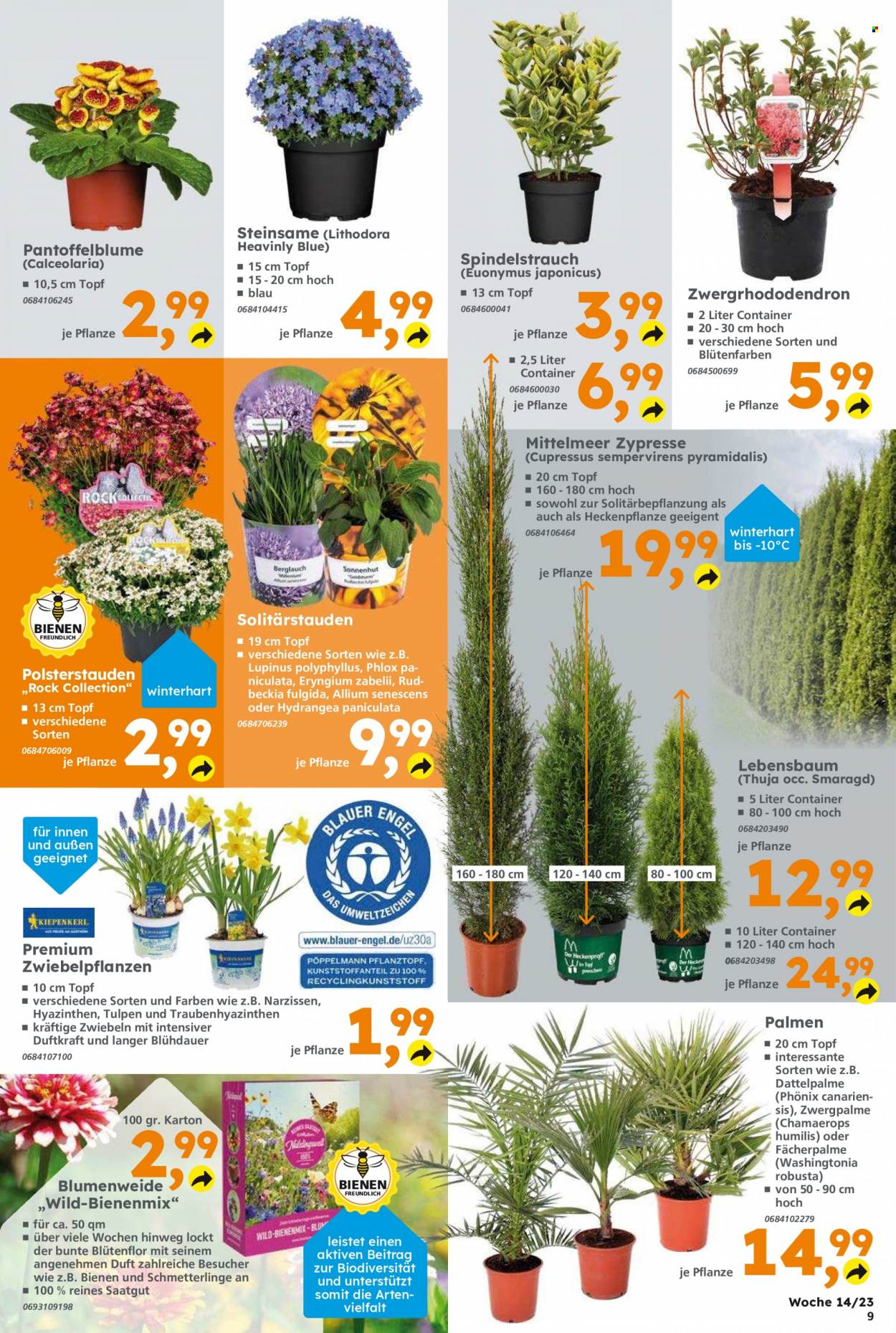 Globus Baumarkt Prospekte  - 3.04.2023 - 8.04.2023. Seite 9
