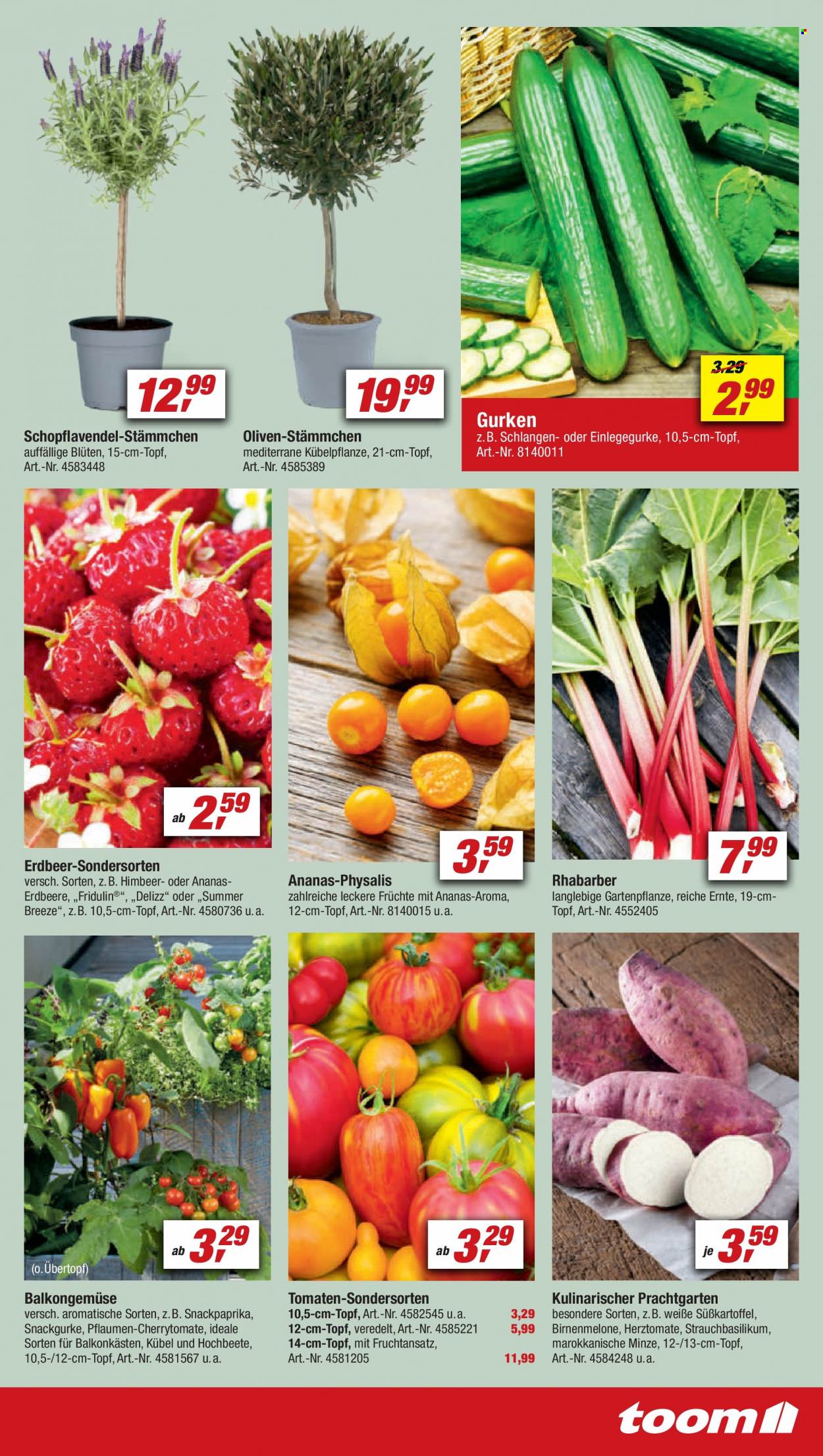 toom Baumarkt Prospekte  - 8.04.2023 - 14.04.2023. Seite 7