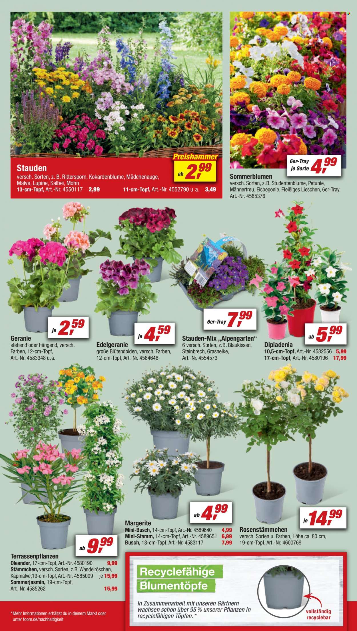 toom Baumarkt Prospekte  - 8.04.2023 - 14.04.2023. Seite 8