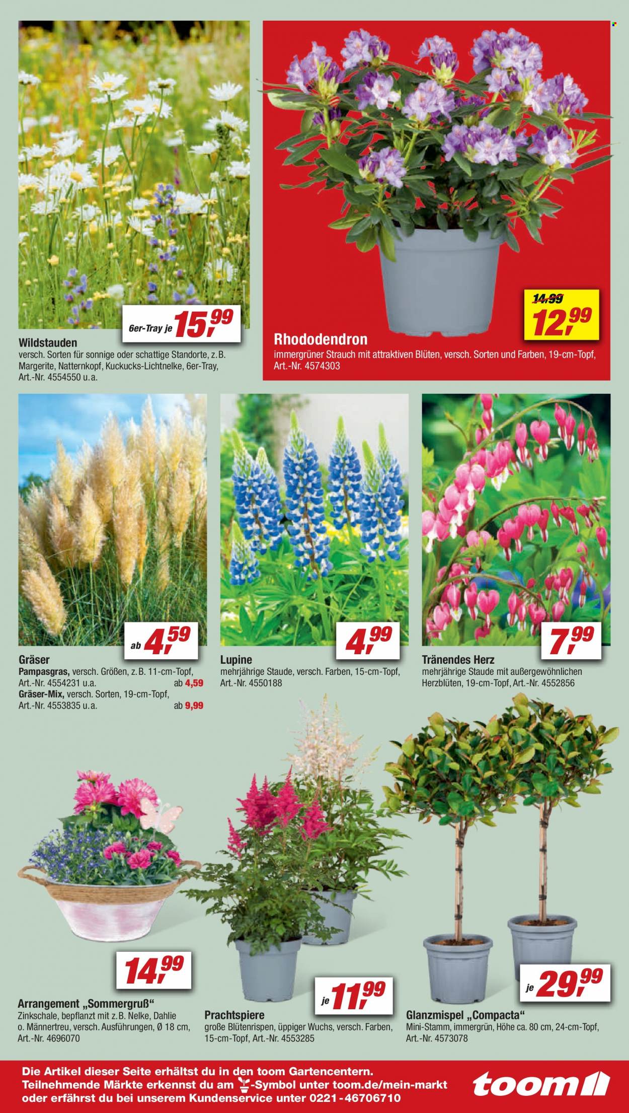 toom Baumarkt Prospekte  - 8.04.2023 - 14.04.2023. Seite 9
