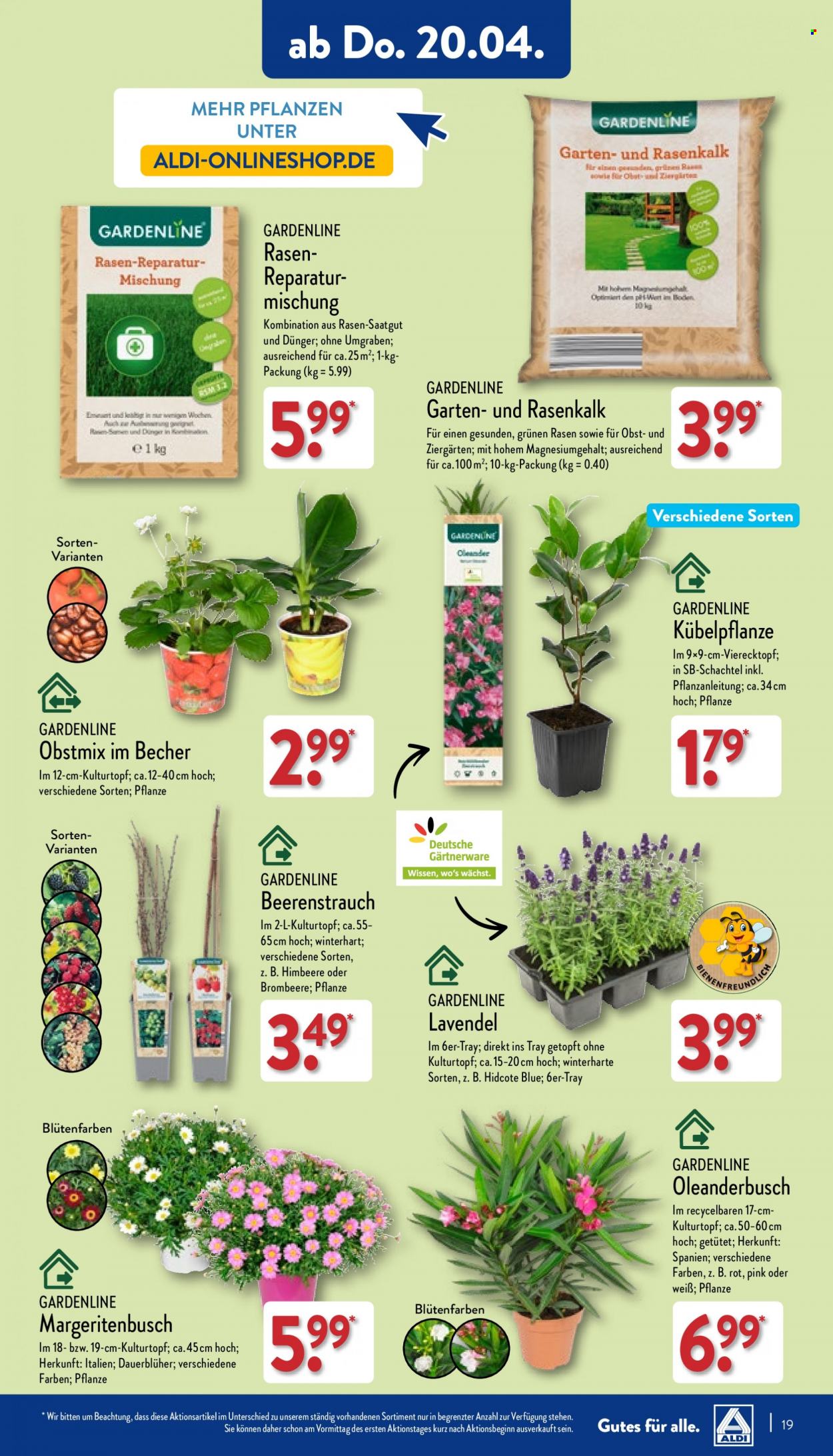 ALDI Nord Prospekte  - 17.04.2023 - 22.04.2023. Seite 19