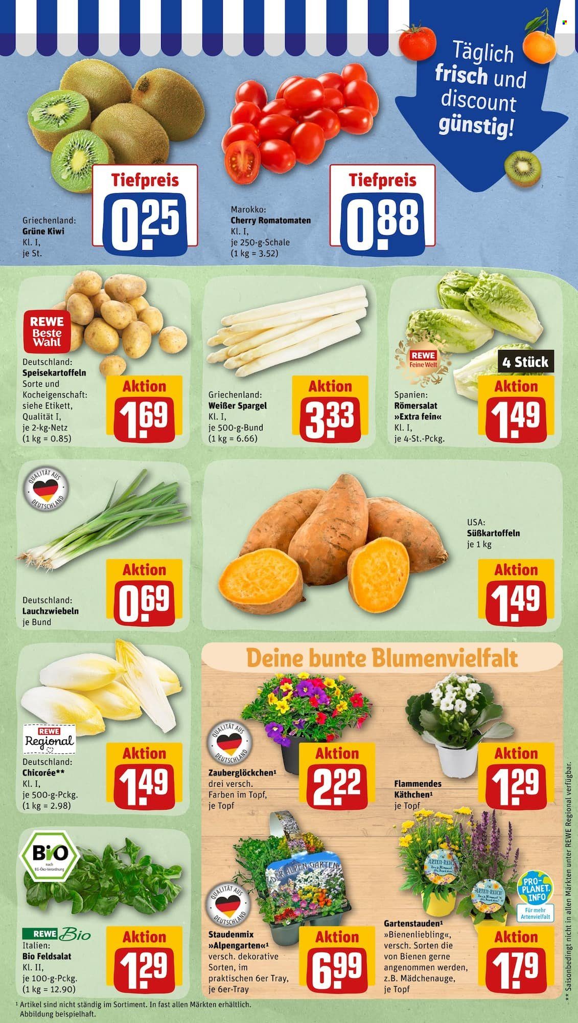 REWE Prospekte  - 11.04.2023 - 15.04.2023. Seite 5