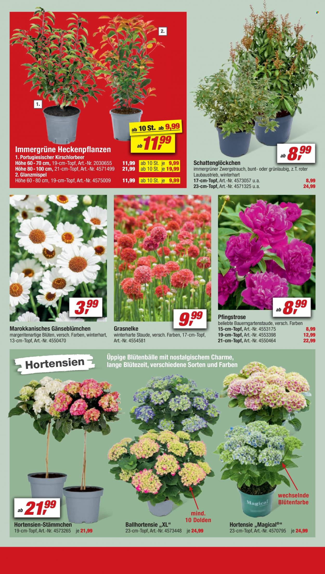 toom Baumarkt Prospekte  - 15.04.2023 - 21.04.2023. Seite 6