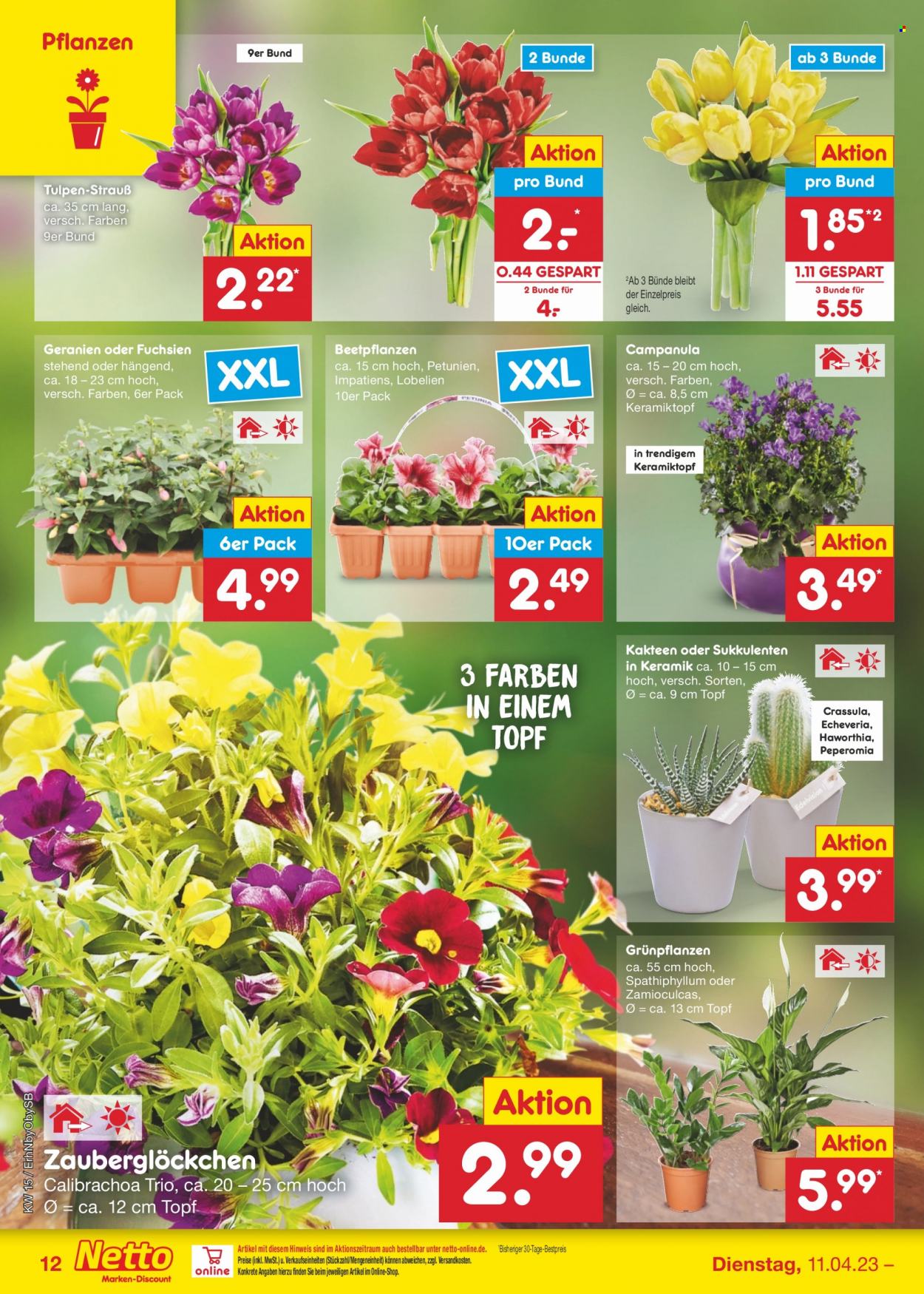 Netto Marken-Discount Prospekte  - 11.04.2023 - 15.04.2023. Seite 12