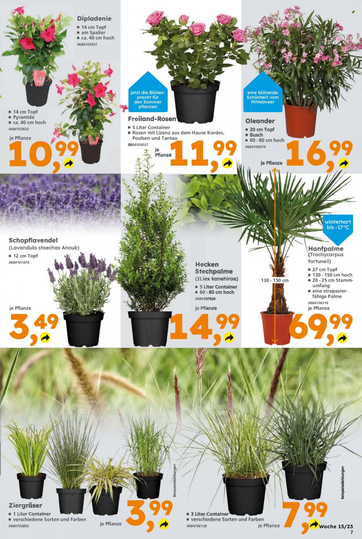 Globus Baumarkt Prospekte  - 10.04.2023 - 15.04.2023. Seite 7