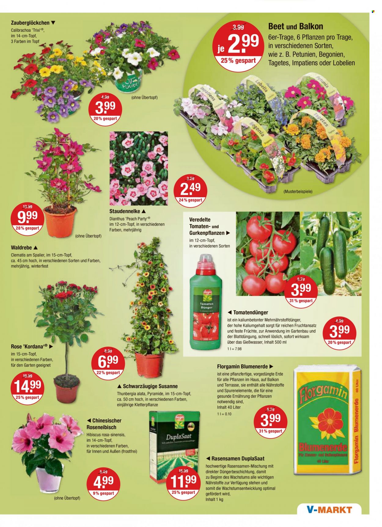 V-Markt Prospekte  - 20.04.2023 - 26.04.2023. Seite 21