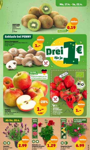 thumbnail - MARKTLIEBE Grüne Kiwi Italien Griechenland KL 1 je Stück