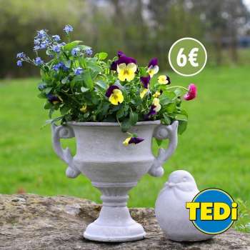 Prospekte TEDi - 14.04.2023 - 27.04.2023.