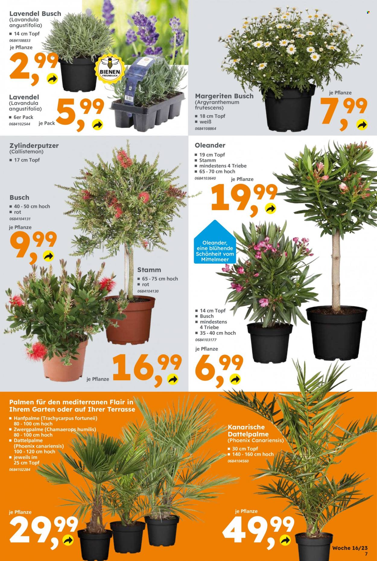 Globus Baumarkt Prospekte  - 17.04.2023 - 22.04.2023. Seite 7