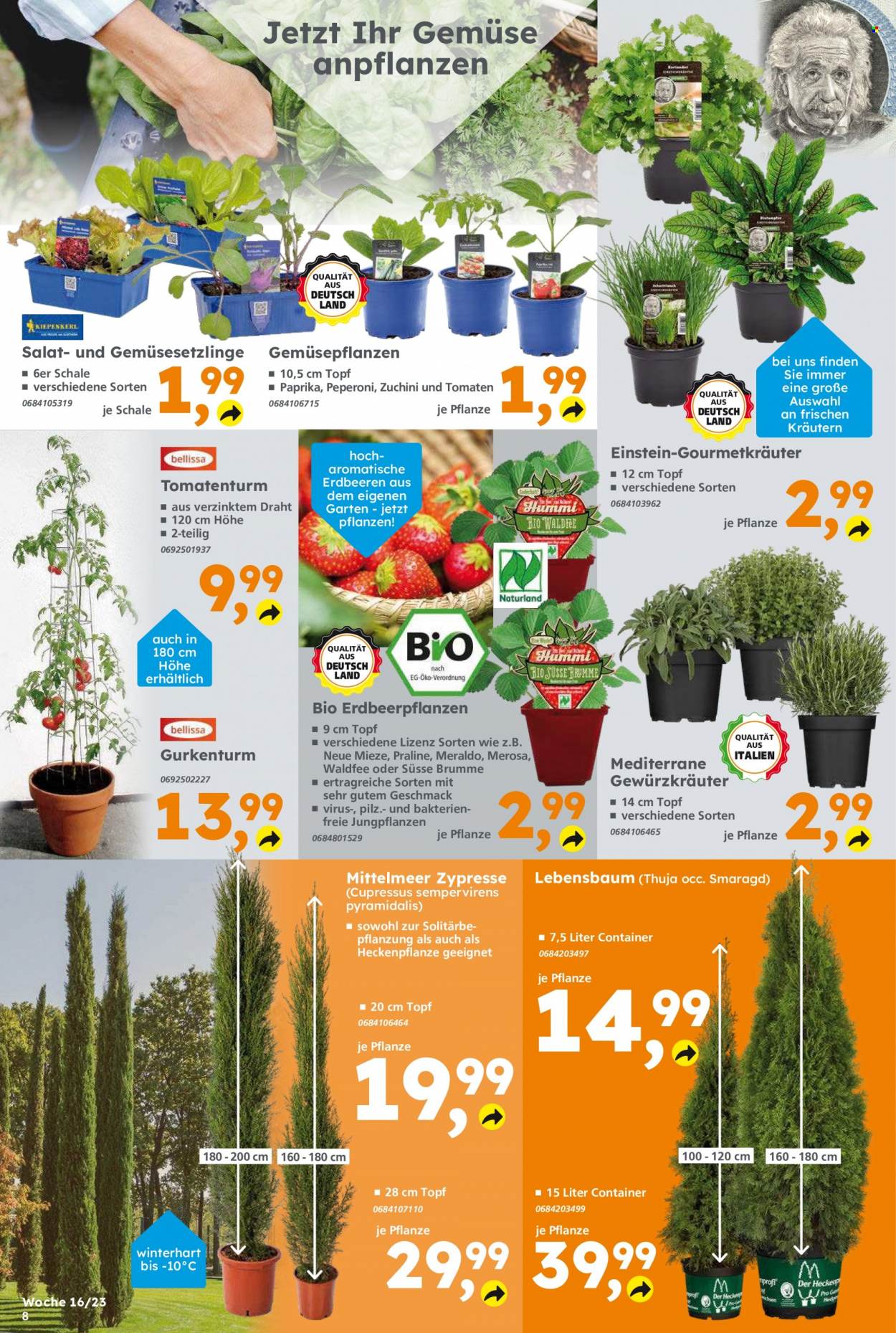 Globus Baumarkt Prospekte  - 17.04.2023 - 22.04.2023. Seite 8