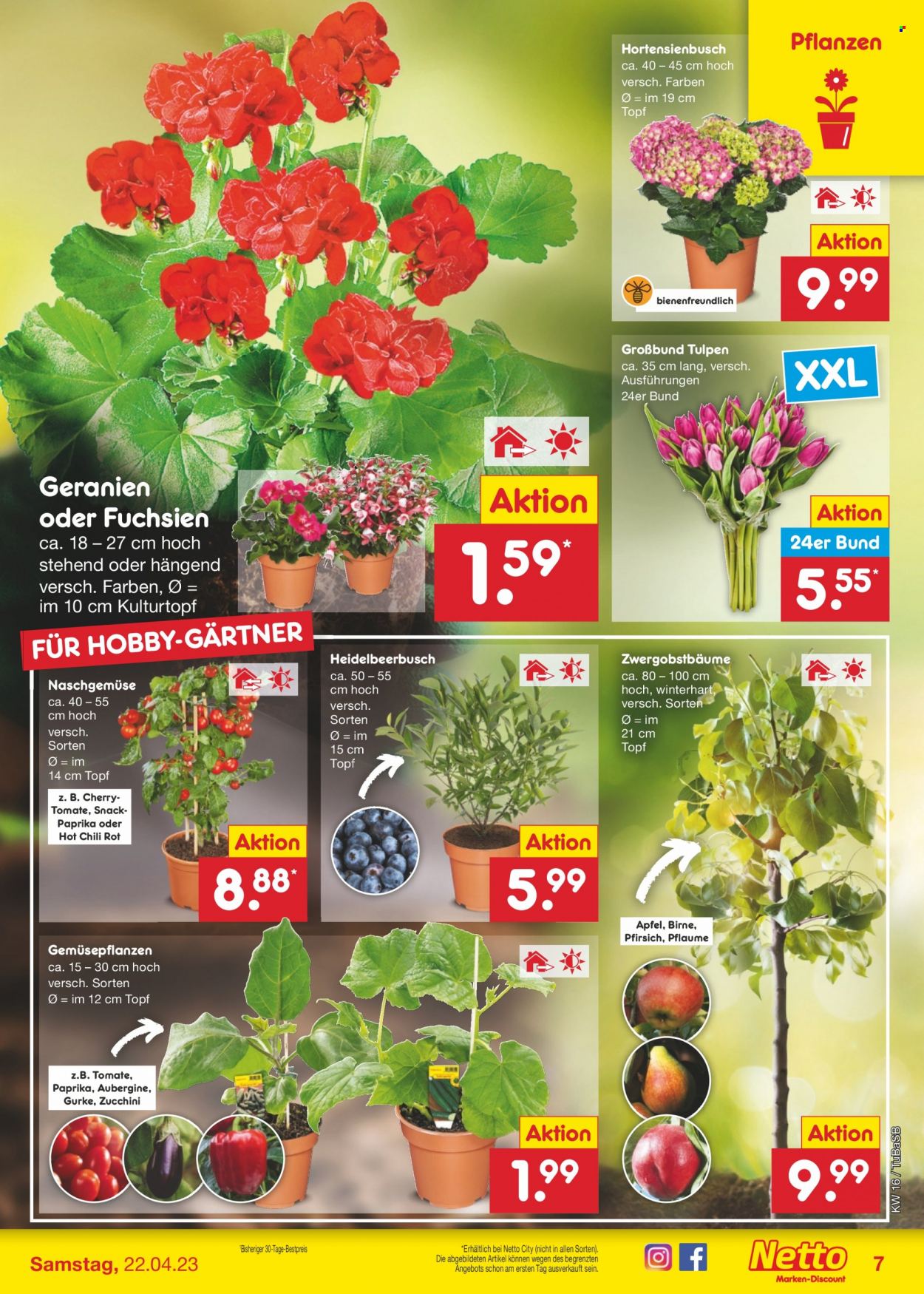 Netto Marken-Discount Prospekte  - 17.04.2023 - 22.04.2023. Seite 7