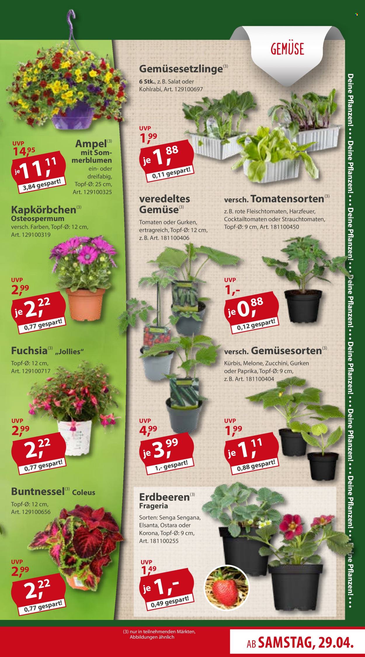 Sonderpreis-Baumarkt Prospekte  - 29.04.2023 - 5.05.2023. Seite 7