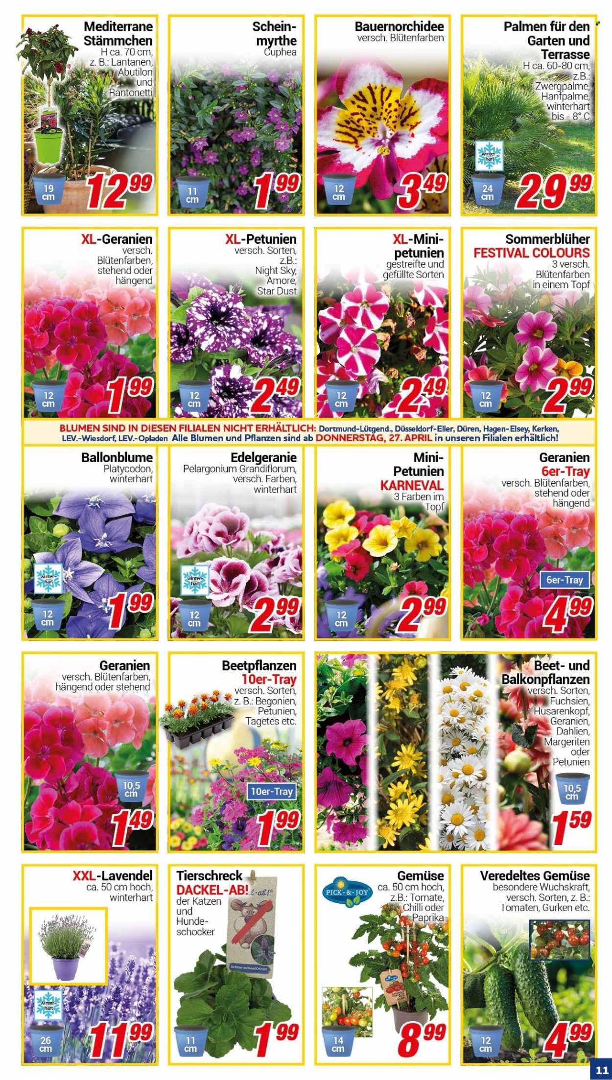CENTERSHOP Prospekte  - 24.04.2023 - 29.04.2023. Seite 11