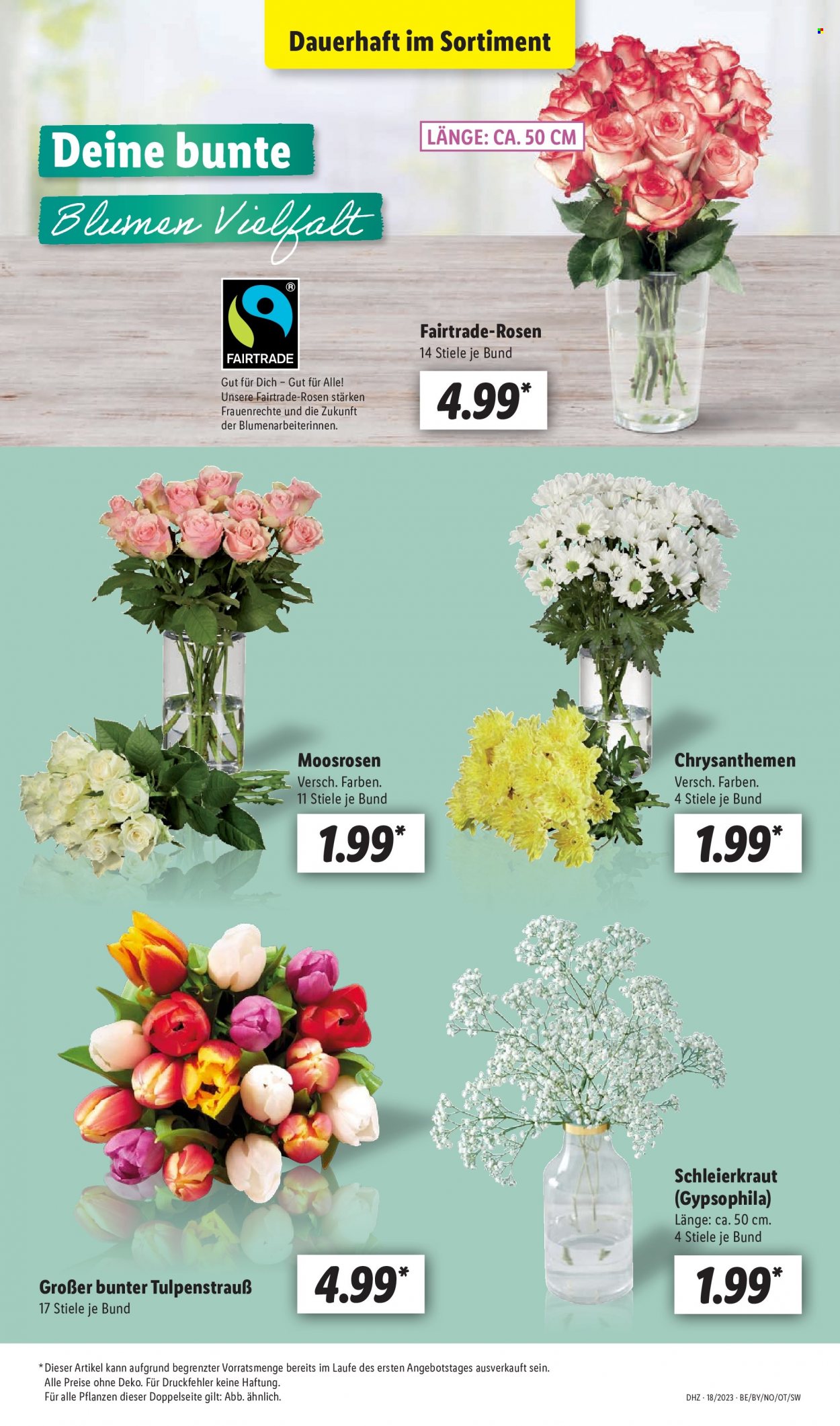 Lidl Prospekte  - 2.05.2023 - 6.05.2023. Seite 5