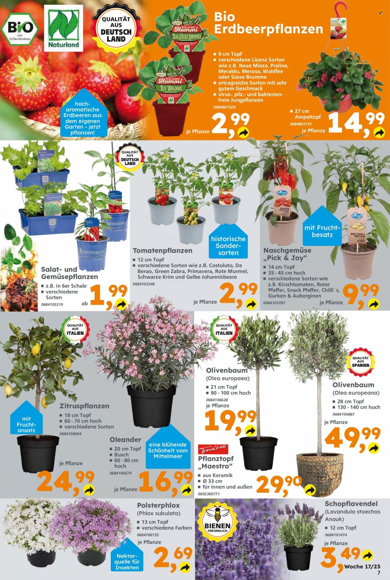 Globus Baumarkt Prospekte  - 24.04.2023 - 29.04.2023. Seite 7