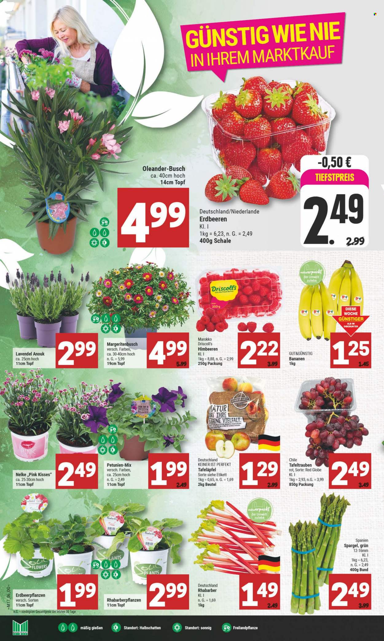 Marktkauf Prospekte  - 24.04.2023 - 29.04.2023. Seite 6