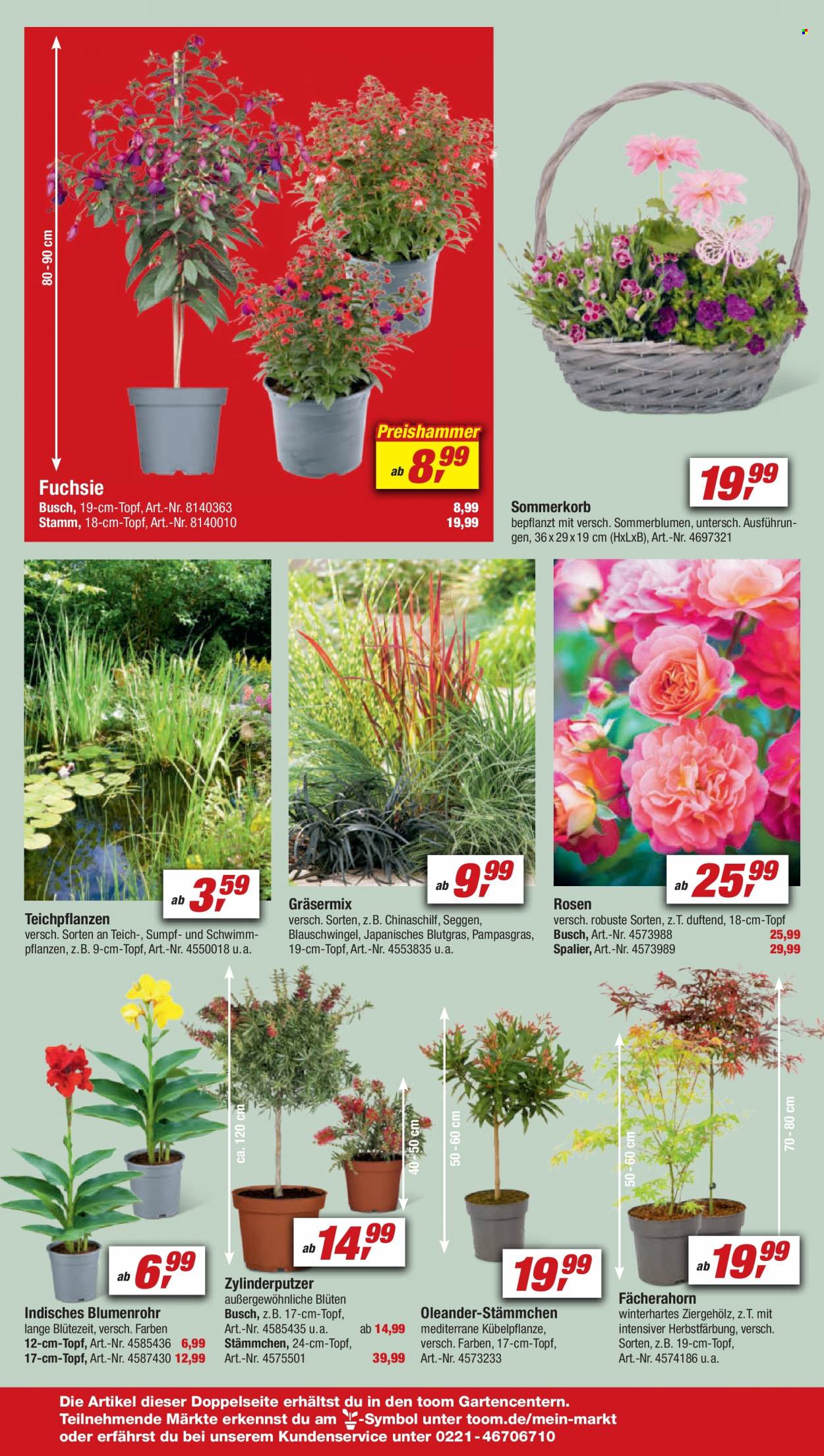 toom Baumarkt Prospekte  - 29.04.2023 - 5.05.2023. Seite 8
