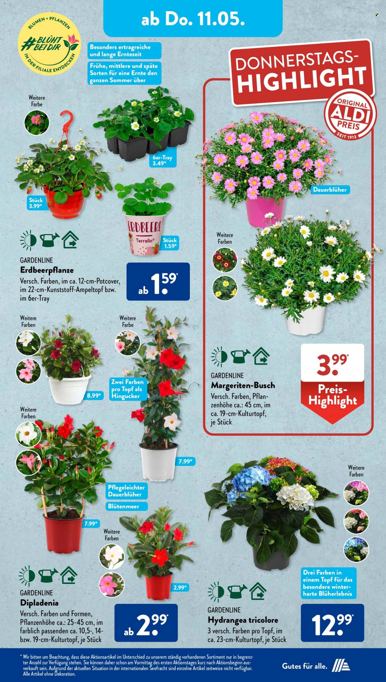 ALDI SÜD Prospekte  - 8.05.2023 - 13.05.2023. Seite 29