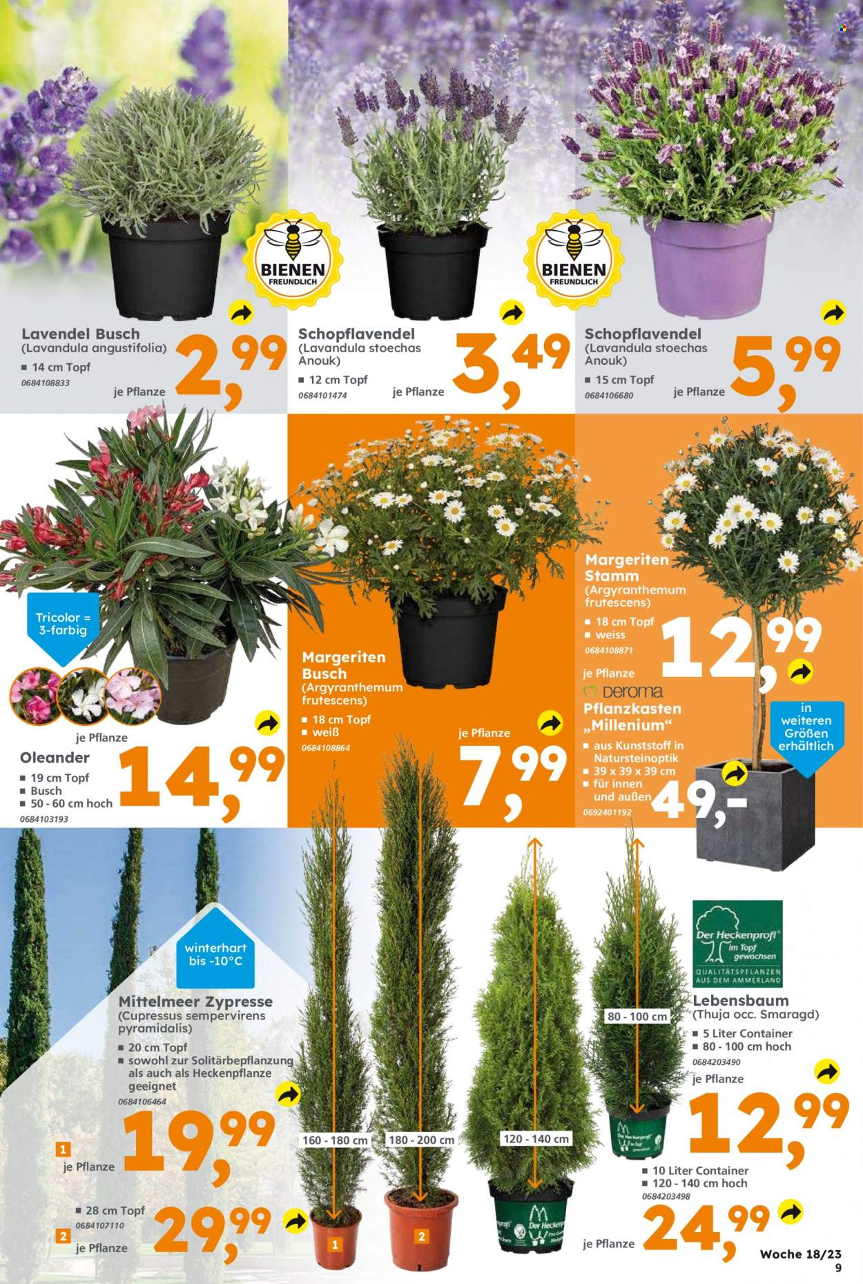 Globus Baumarkt Prospekte  - 1.05.2023 - 6.05.2023. Seite 9