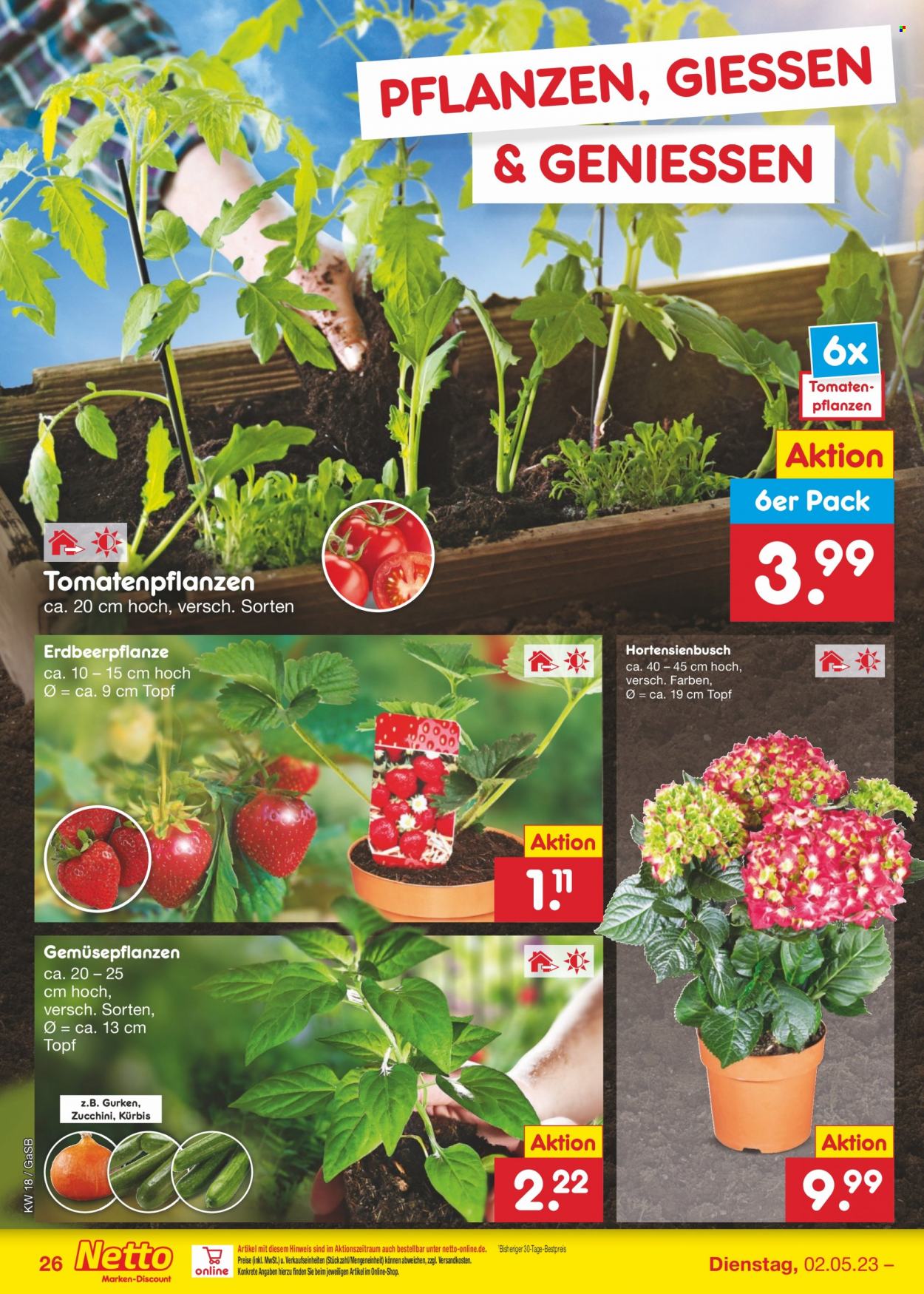 Netto Marken-Discount Prospekte  - 2.05.2023 - 6.05.2023. Seite 26