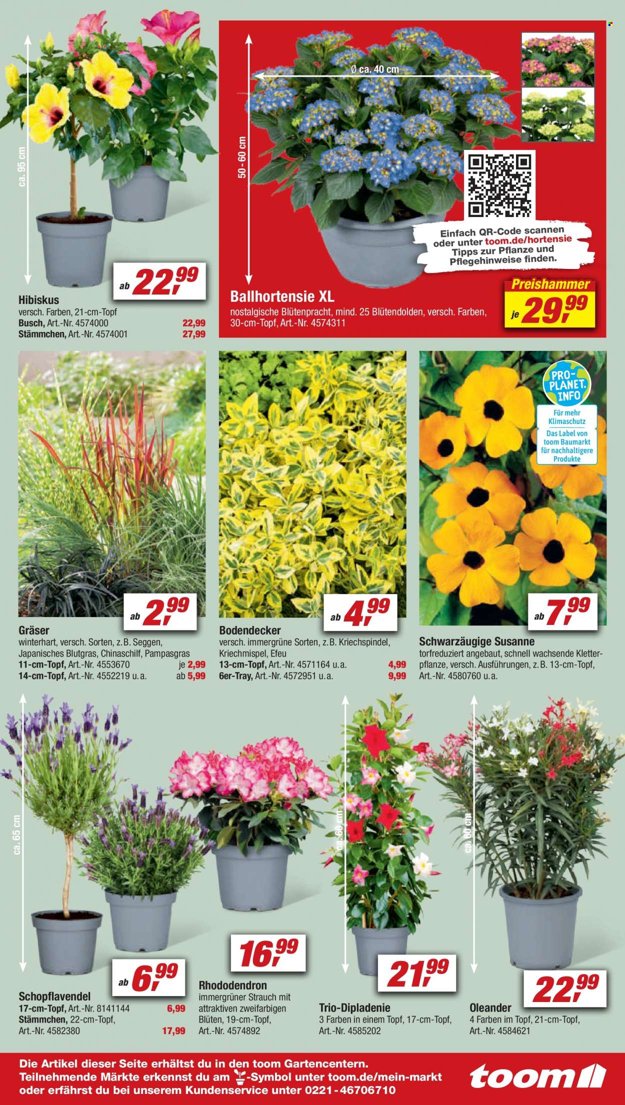 toom Baumarkt Prospekte  - 6.05.2023 - 12.05.2023. Seite 11