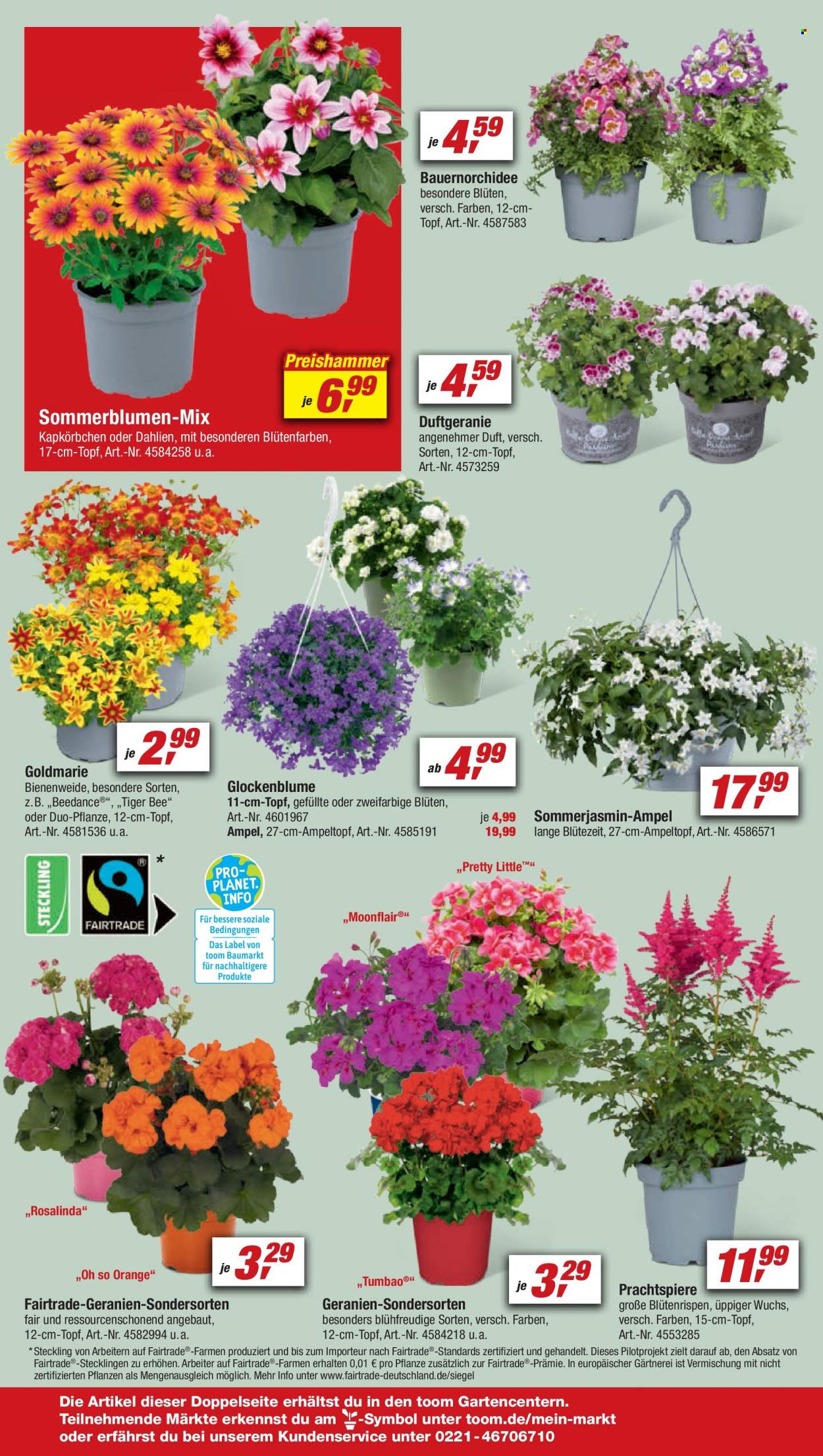 toom Baumarkt Prospekte  - 6.05.2023 - 12.05.2023. Seite 12