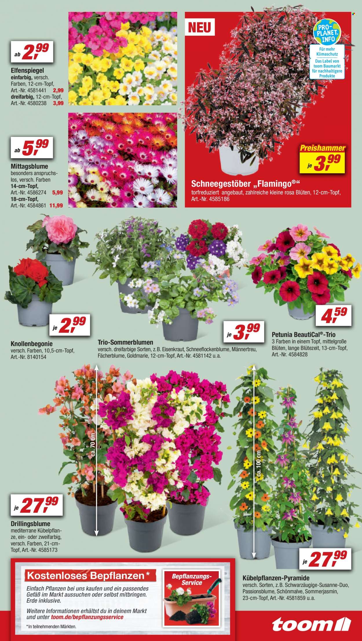 toom Baumarkt Prospekte  - 6.05.2023 - 12.05.2023. Seite 13