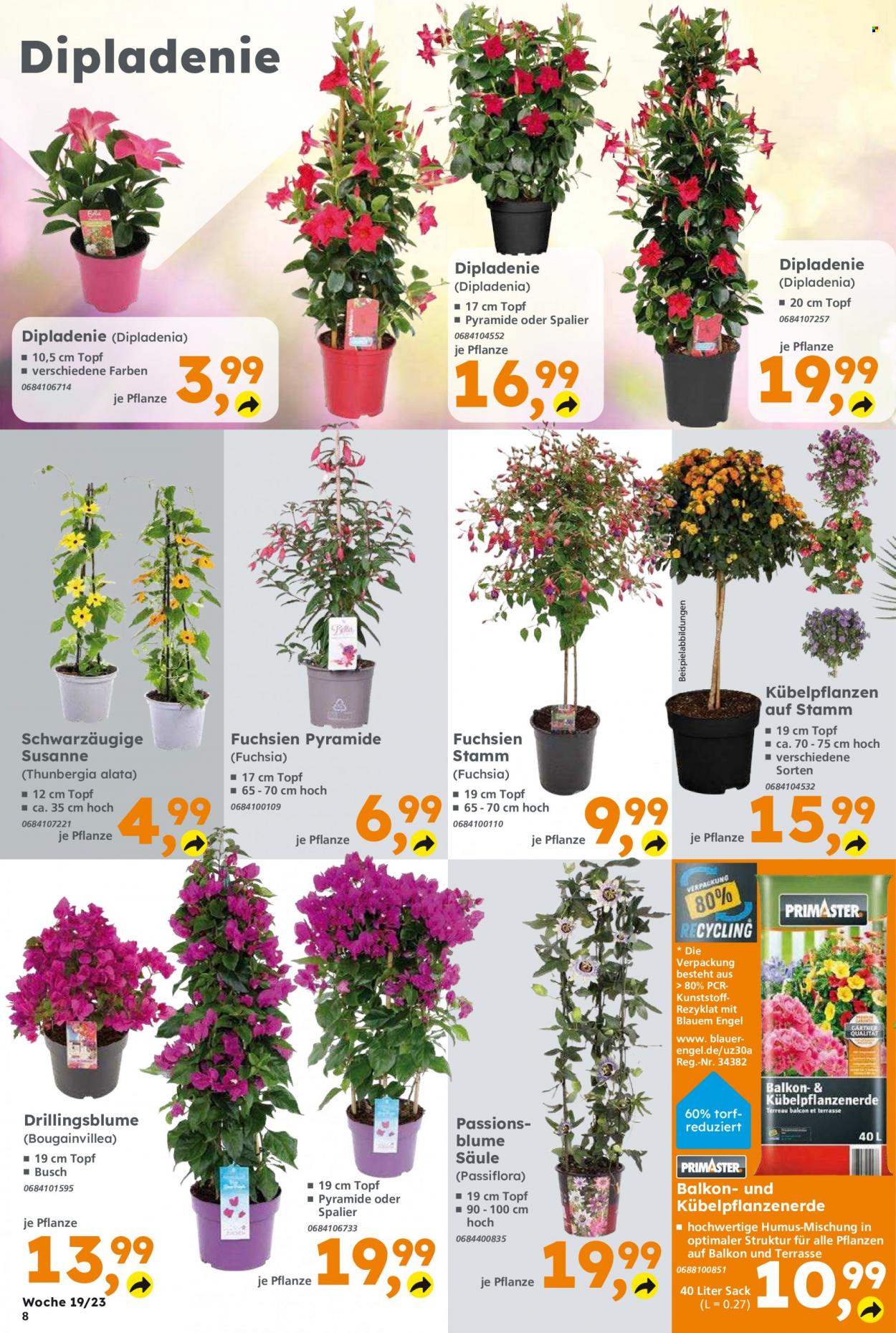Globus Baumarkt Prospekte  - 8.05.2023 - 13.05.2023. Seite 8