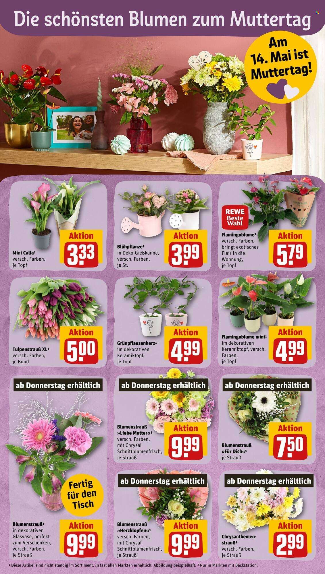 REWE Prospekte  - 8.05.2023 - 13.05.2023. Seite 25