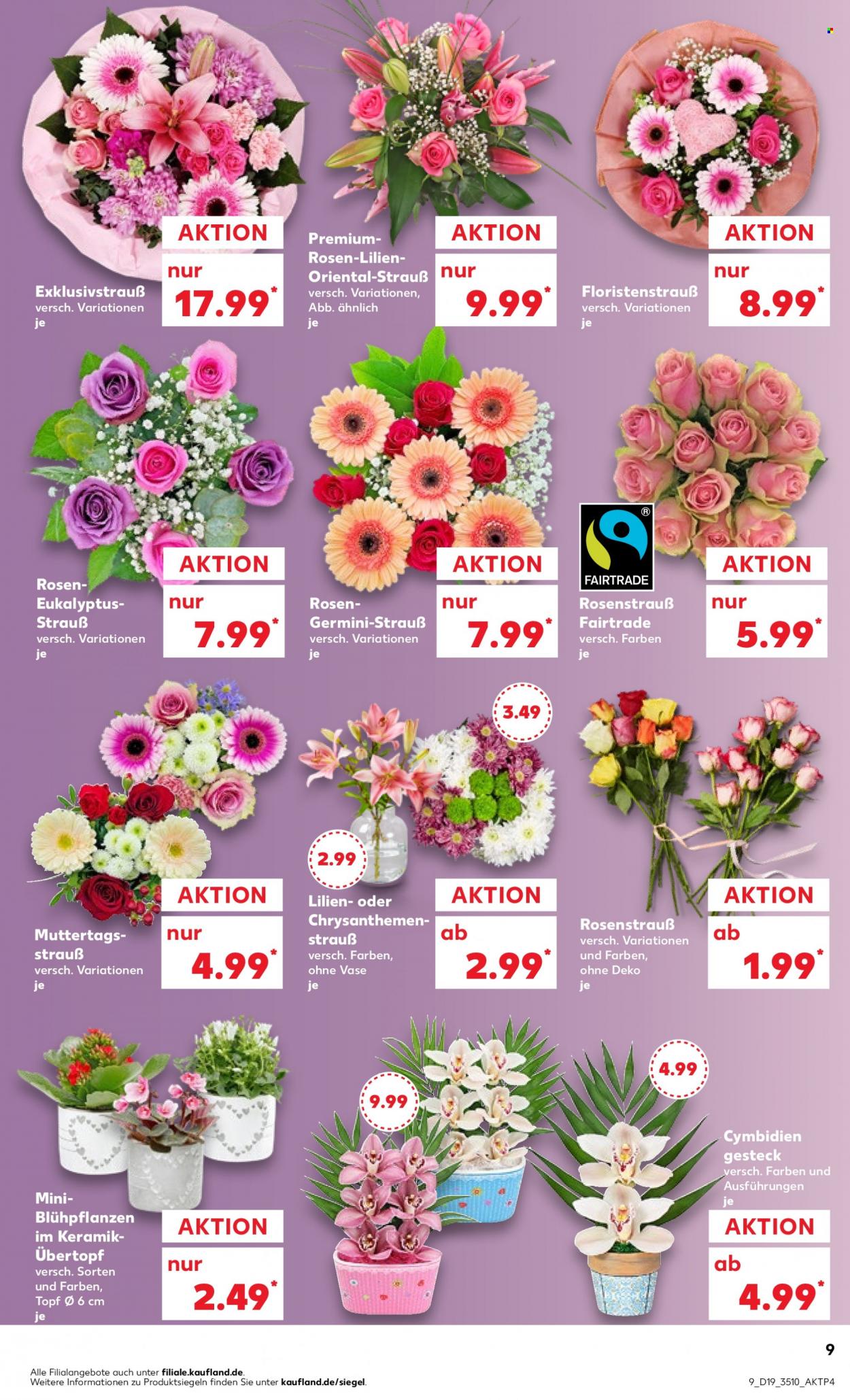 Kaufland Prospekte  - 11.05.2023 - 17.05.2023. Seite 9